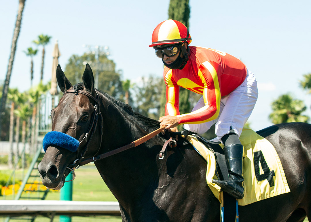 Uncle Chuck at the Los Alamitos Derby at Los Alamitos Race Course