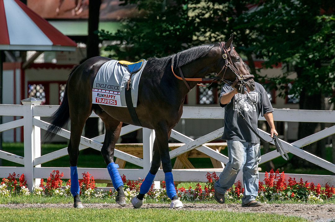 Uncle Chuck in the paddock at Saratoga Race Course on Aug. 6