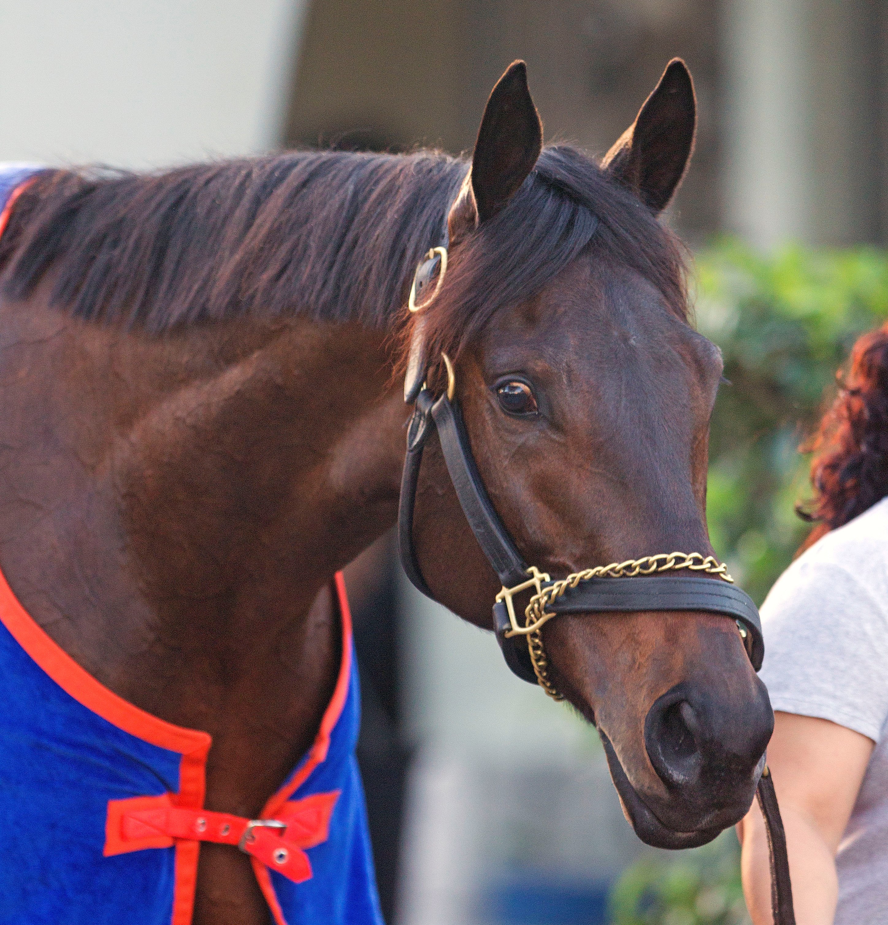 Uncle Mo, January 2011