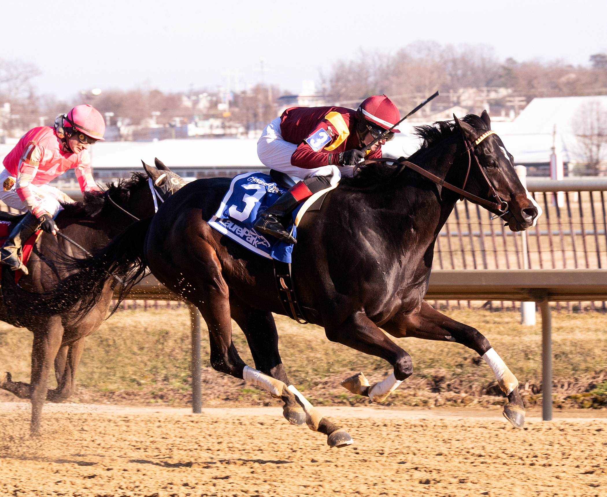 Uncontested wins 2019 General George