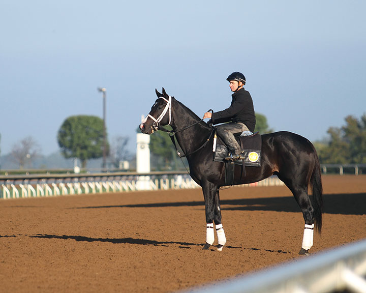 Uncontested at Keeneland in October 2017