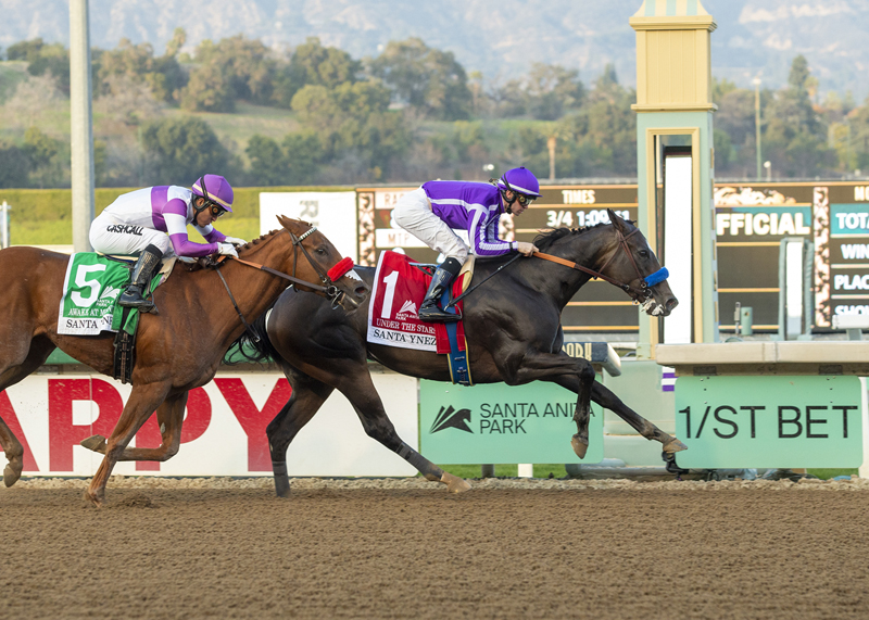 Under the Stars wins Santa Ynez 1-8-2022