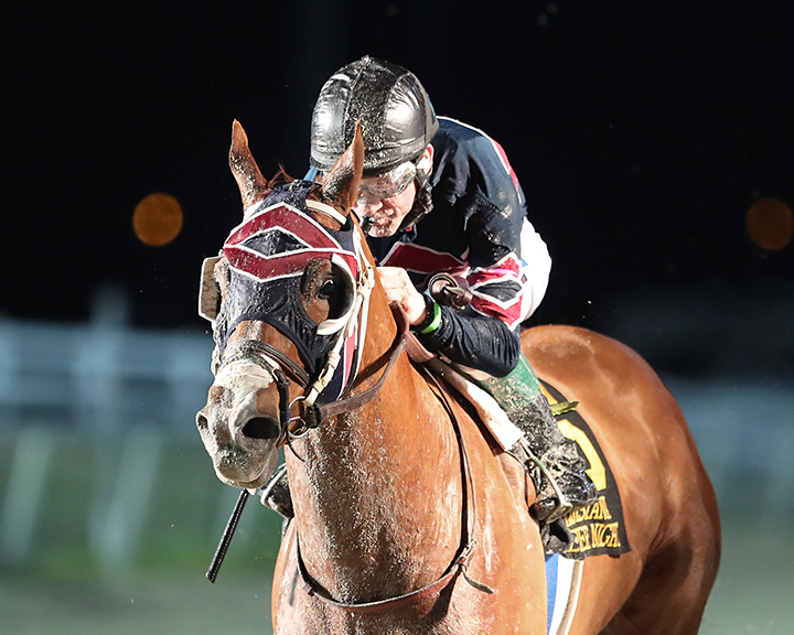Underpressure wins the 2020 Louisiana-bred Premier Night Championship at Delta Downs