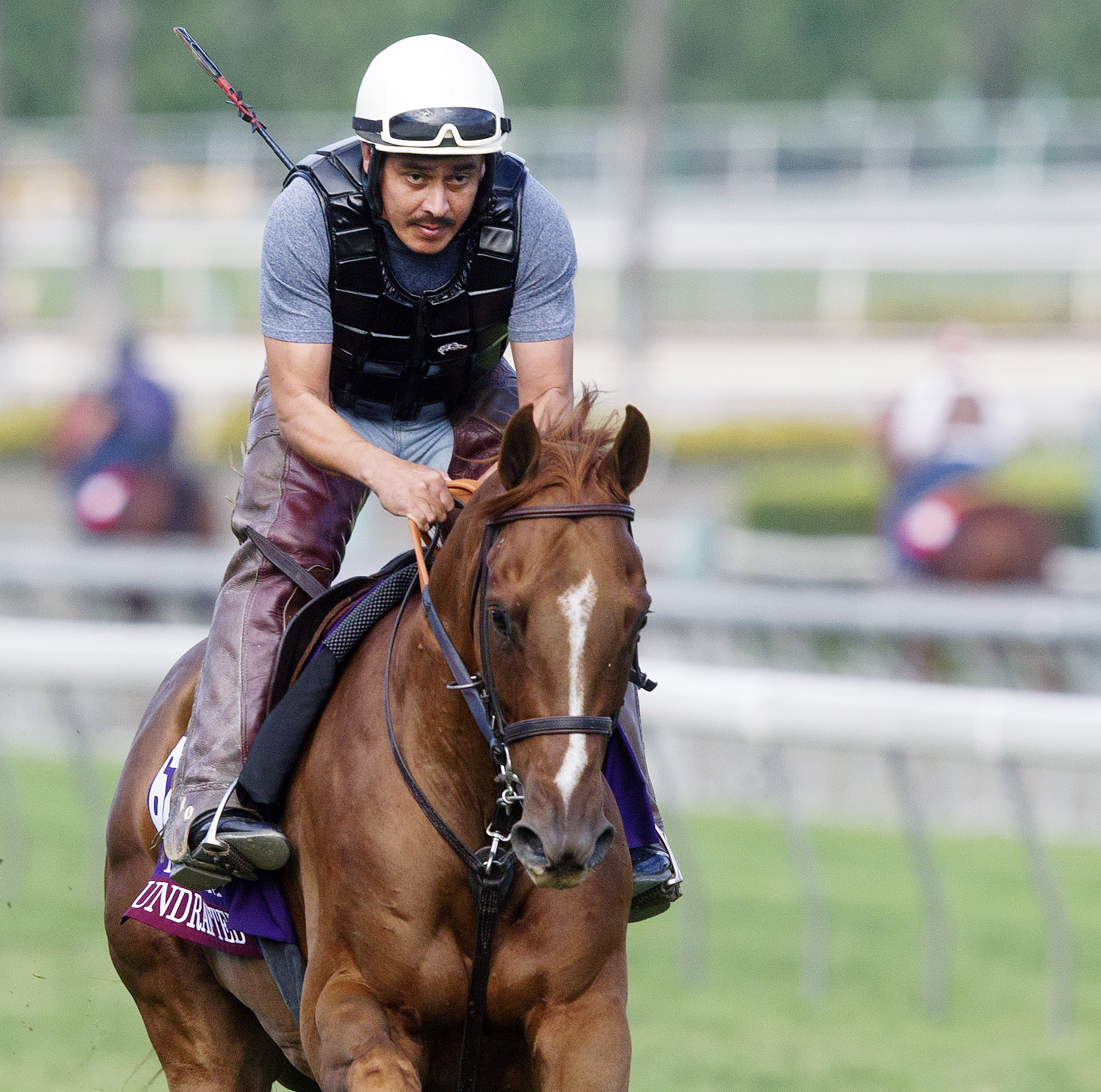 Undrafted prepares for the Breeders' Cup at Santa Anita