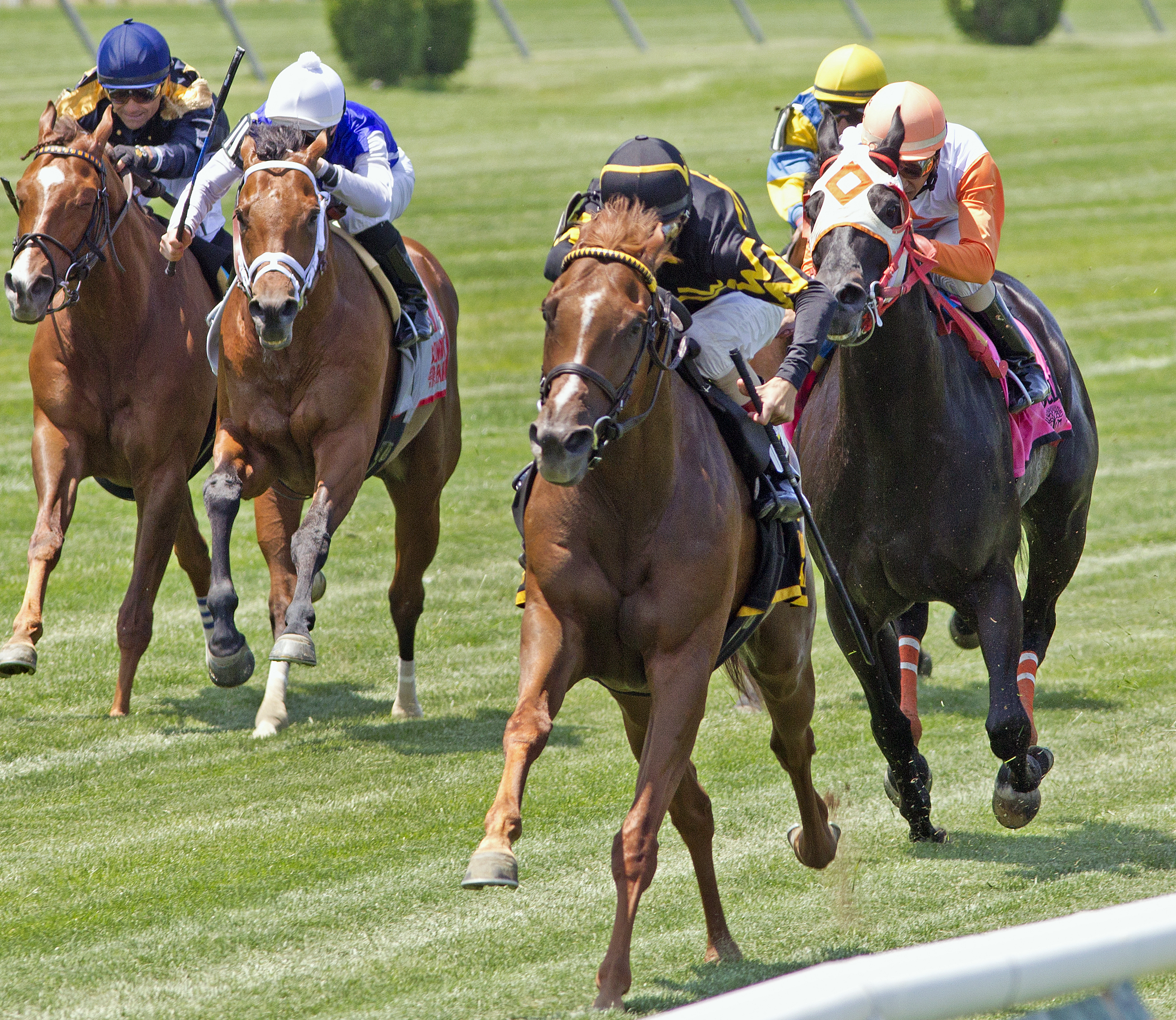 Ben's Cat finishes fourth in the Jaipur