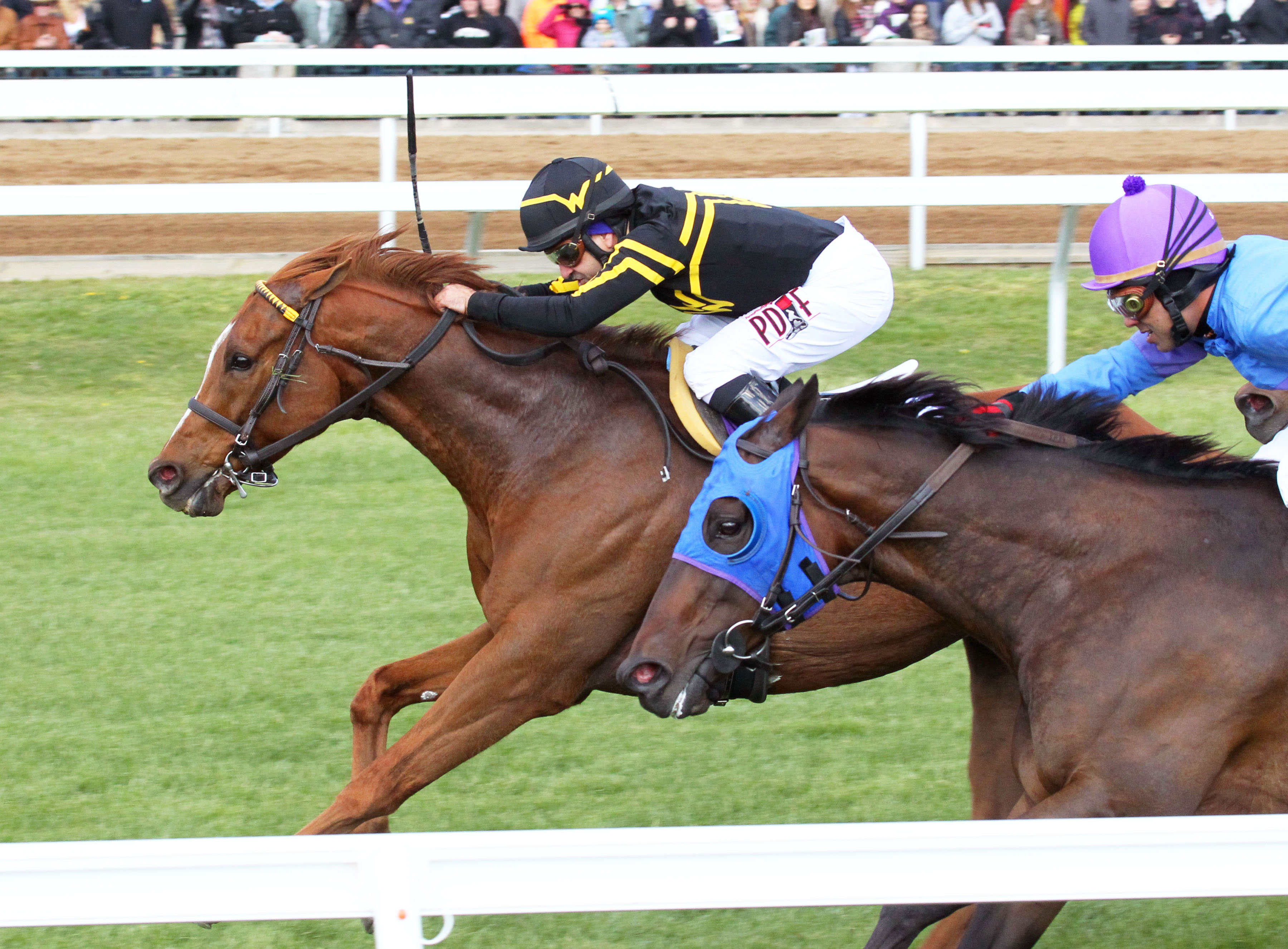 Undrafted wins the Shakertown