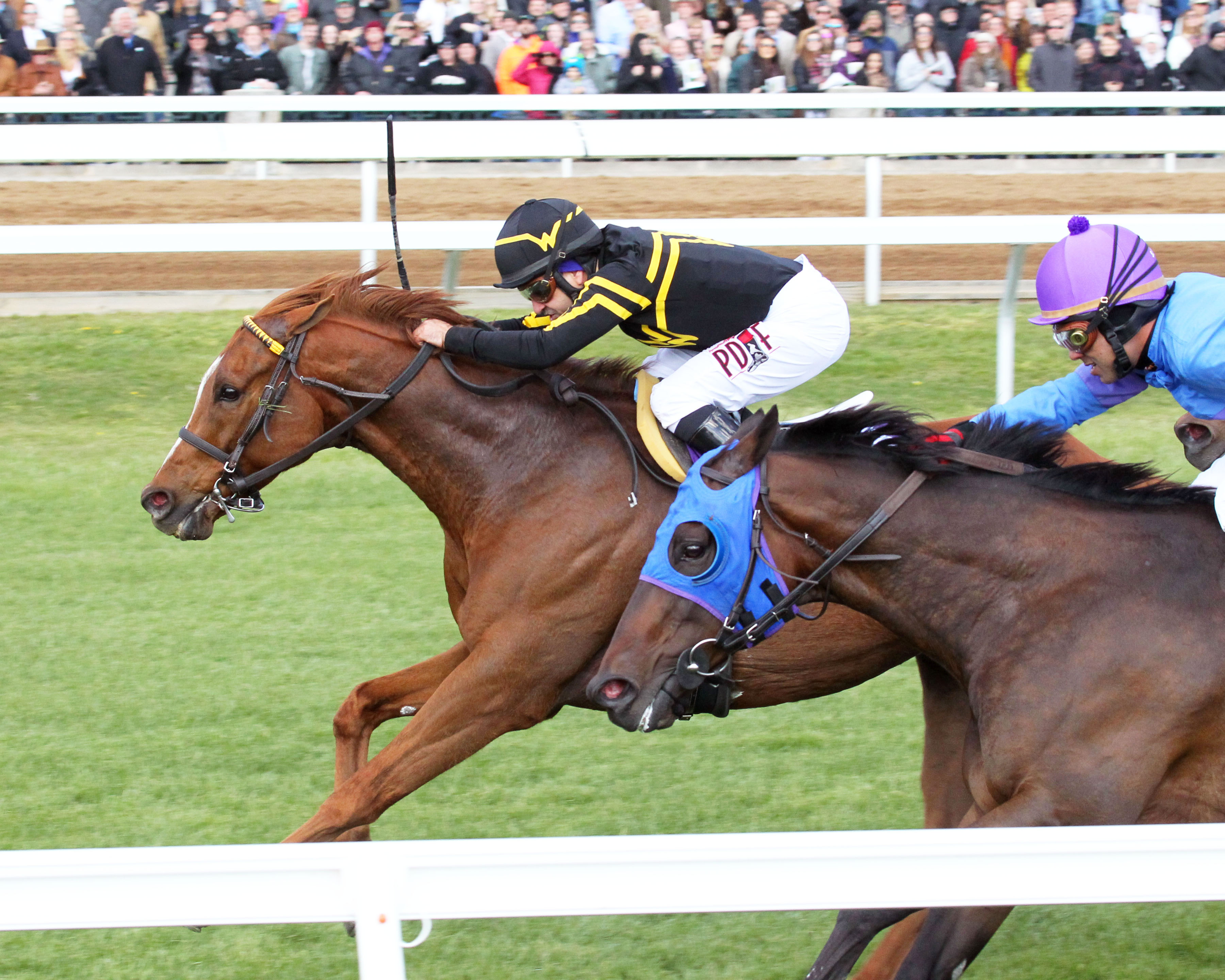 Undrafted wins the Shakertown