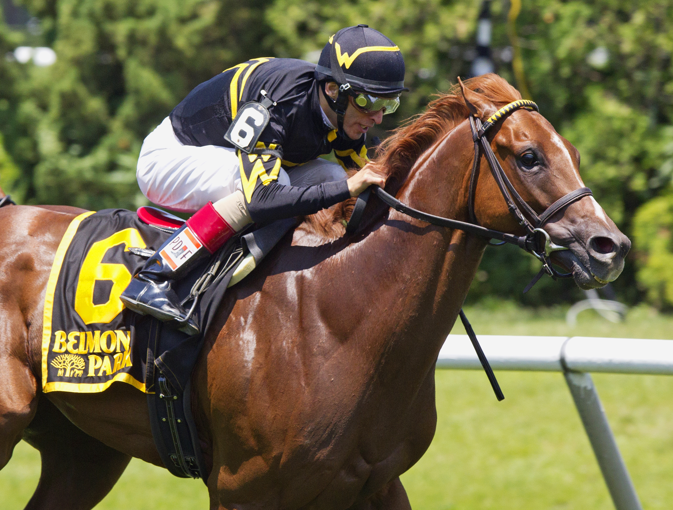 Undrafted wins the Jaipur
