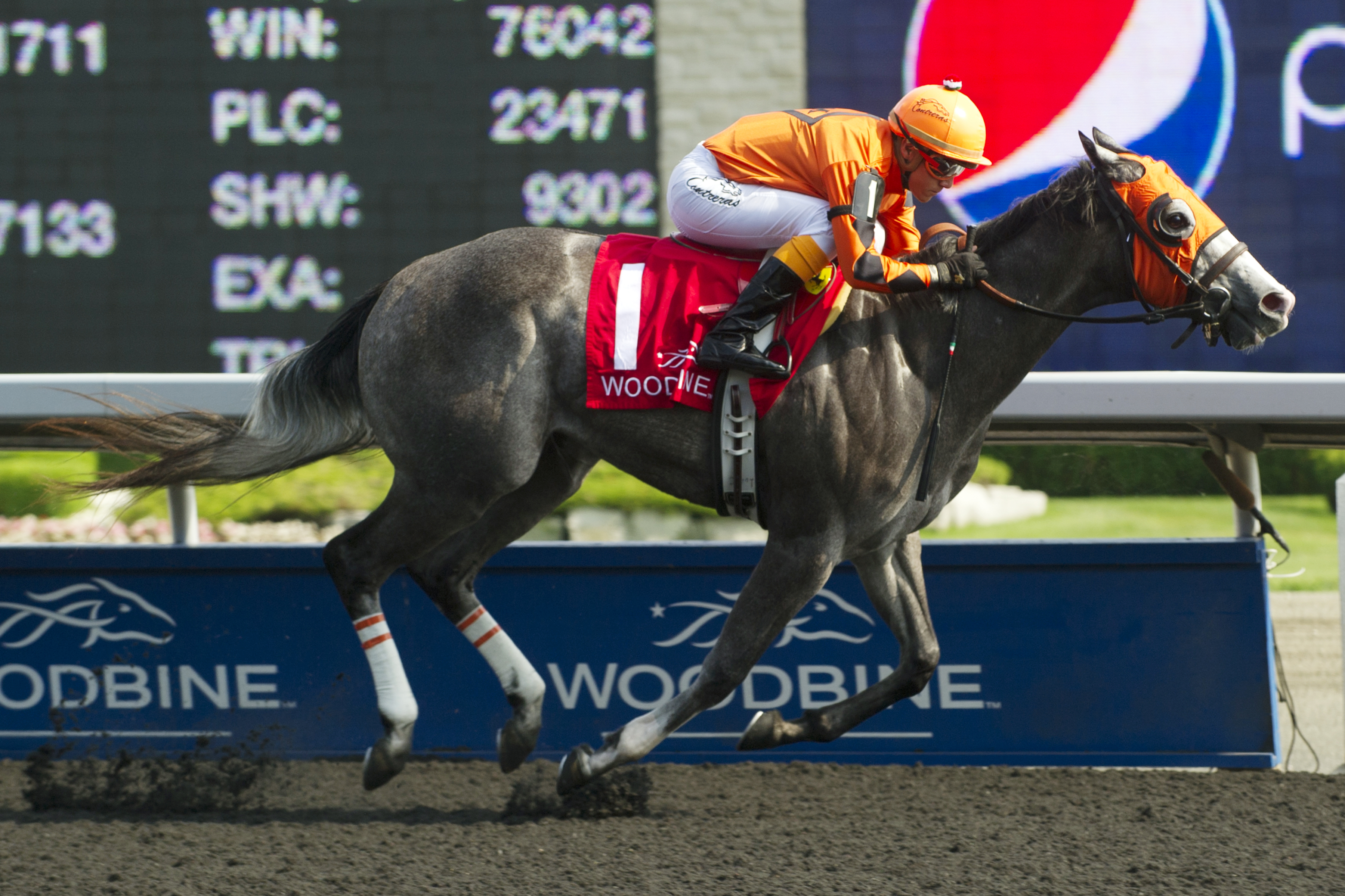 Unhindered wins the My Dear Stakes