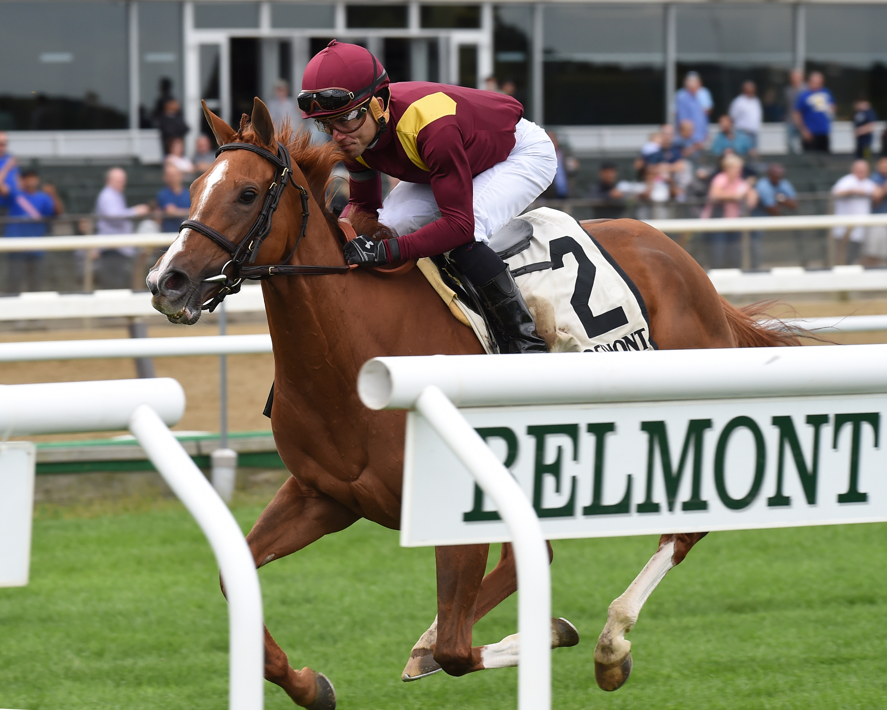 Uni wins 2018 Noble Damsel