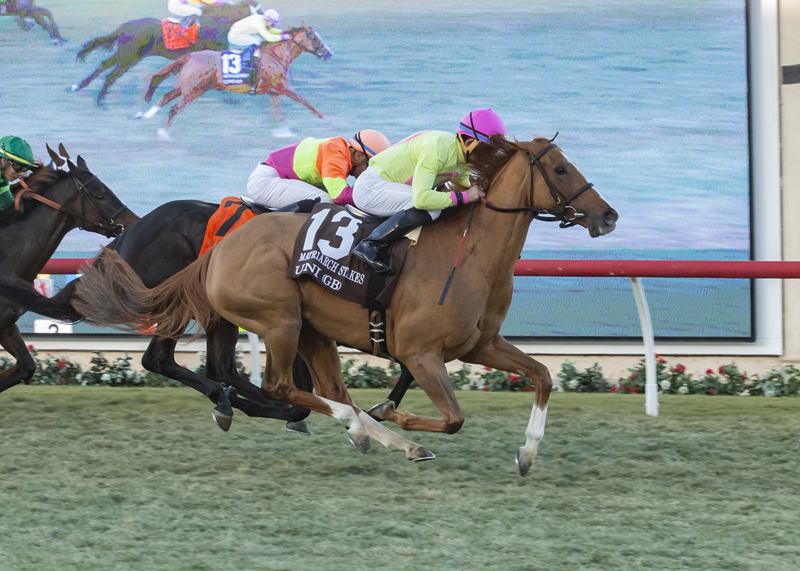 Uni wins 2018 Matriarch Stakes