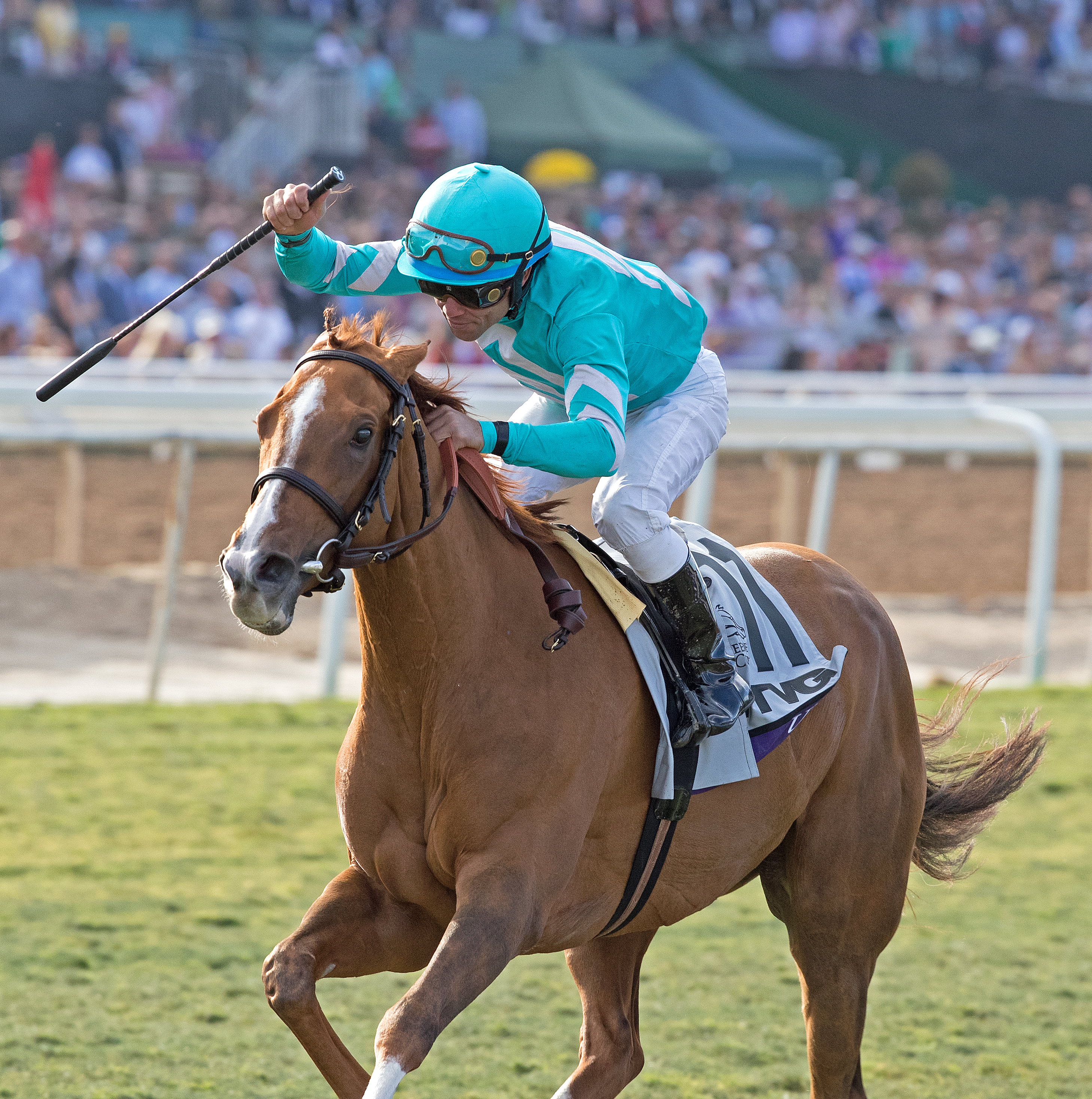 Uni wins the 2019 BC Mile