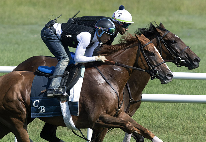 Uni works with Santa Monica at Saratoga Race Course on July 28
