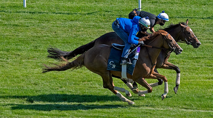 Uni (outside) and Sistercharlie train at Belmont Park on June 14