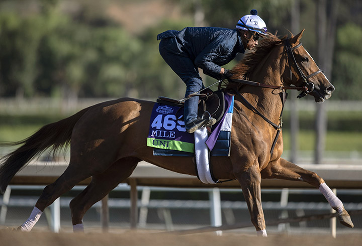 Uni trains at Santa Anita Park on Oct. 30
