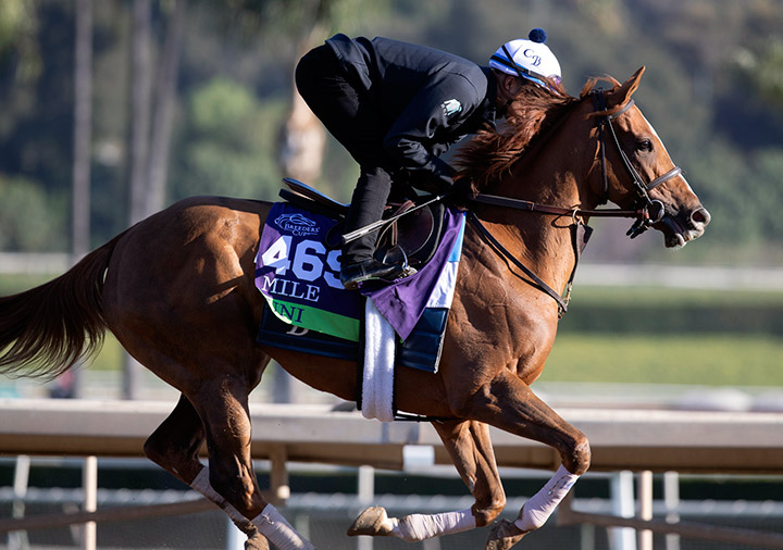 Uni trains at Santa Anita Park on Oct. 31