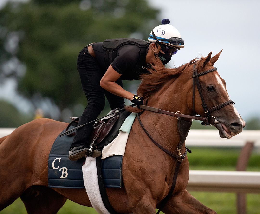 Uni trains at Saratoga Race Course on July 16