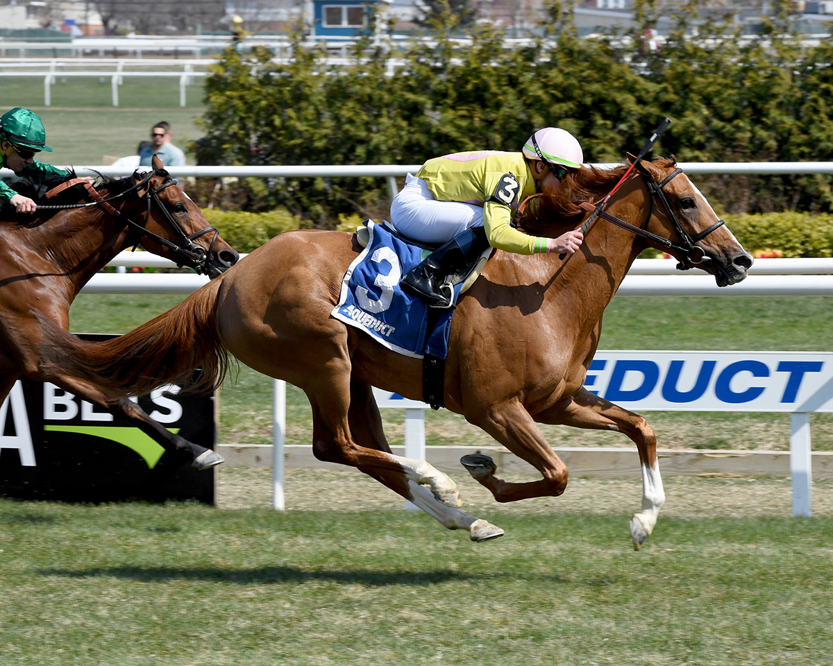 Uni wins the Plenty of Grace Stakes