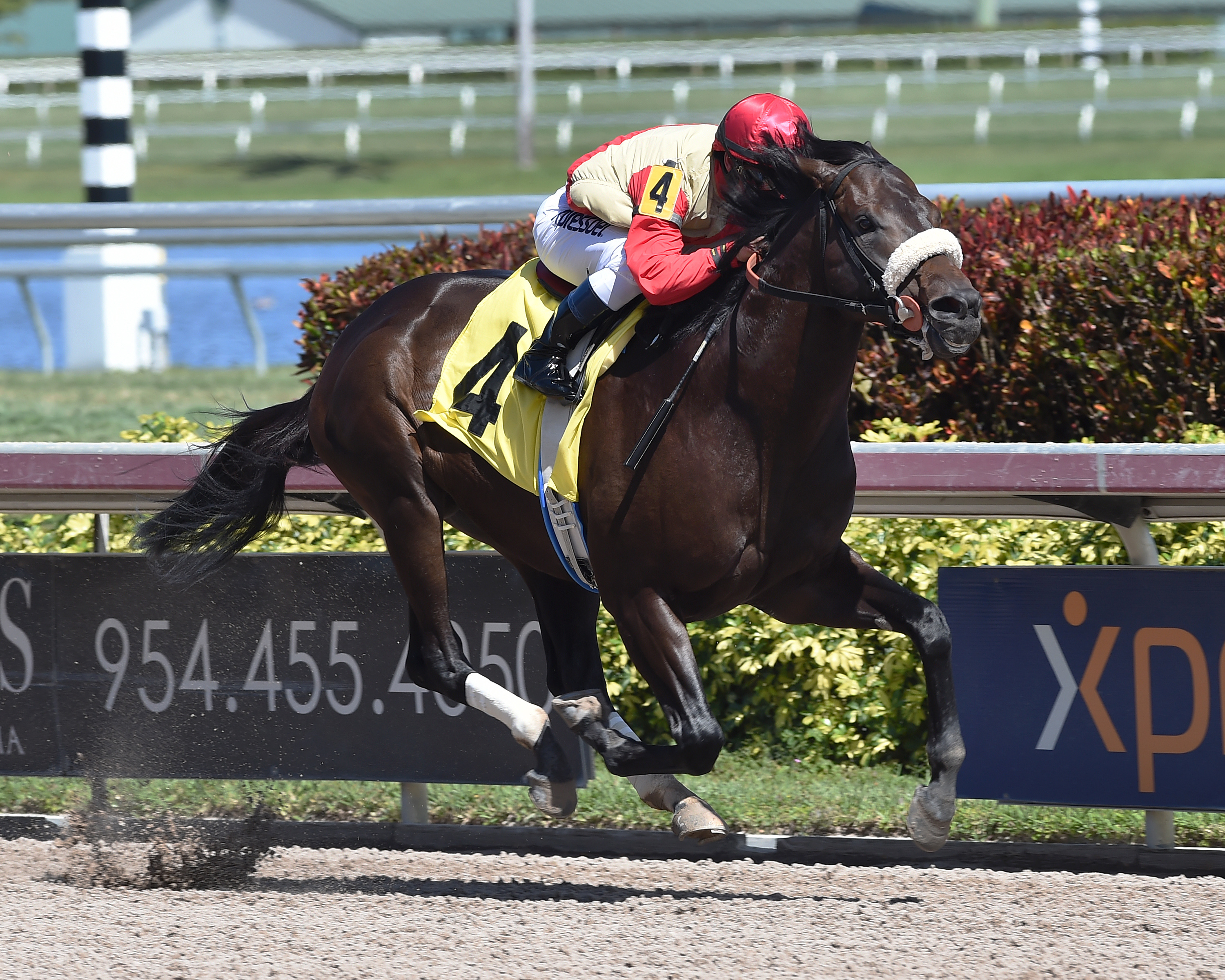 Unified wins a maiden race