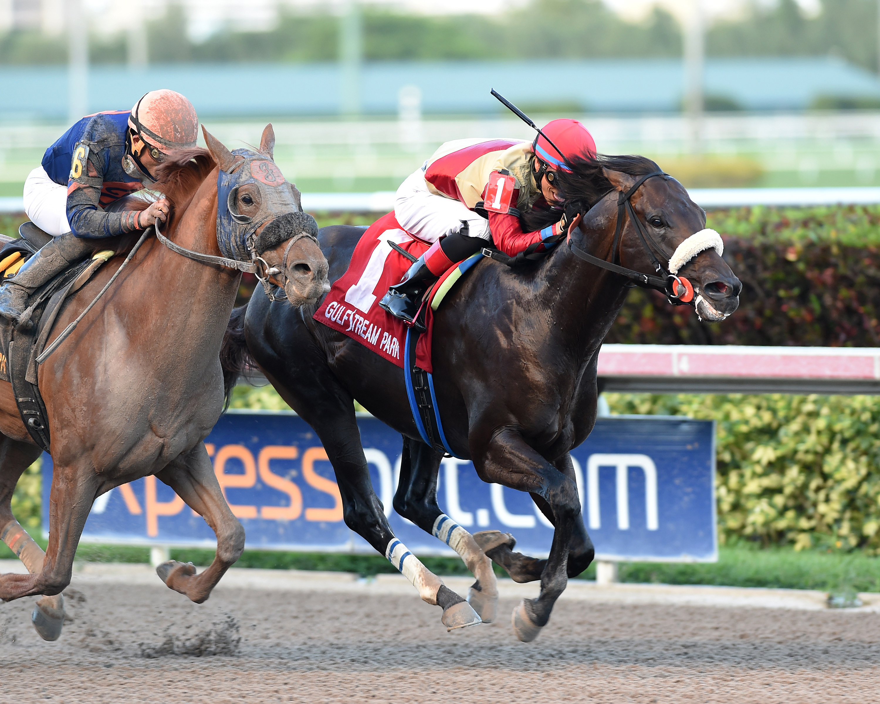 Unified wins the Gulfstream Park Sprint