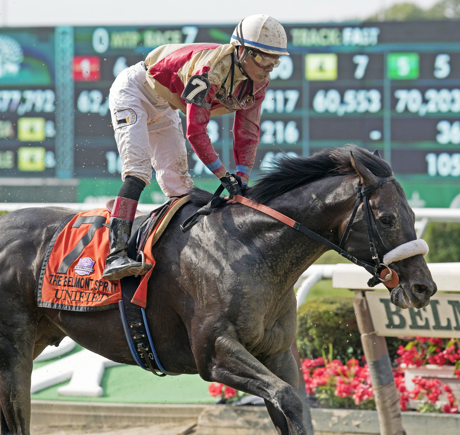 Unified finises last in the 2017 Belmont Sprint Championship