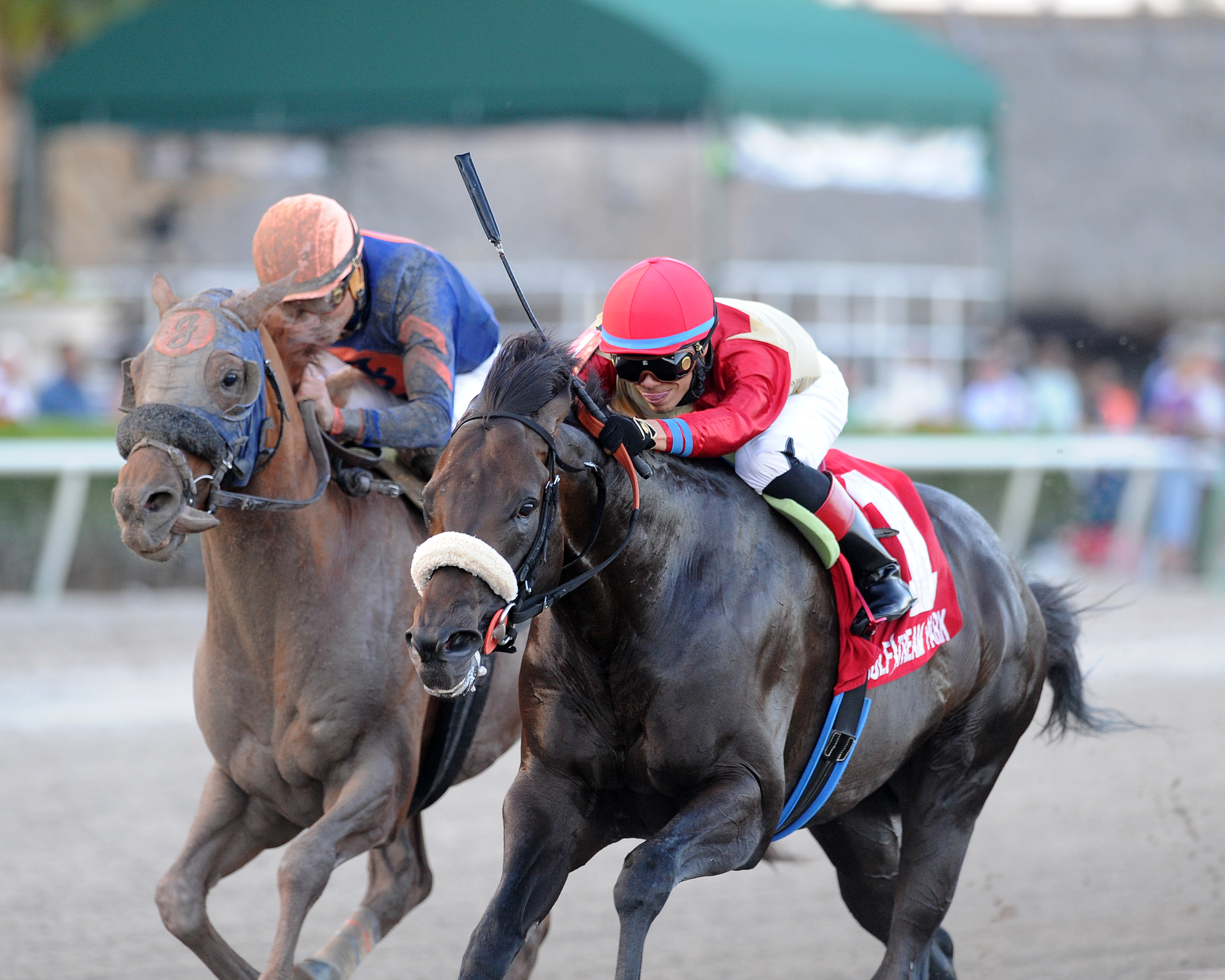 Unified wins the Gulfstream Park Sprint