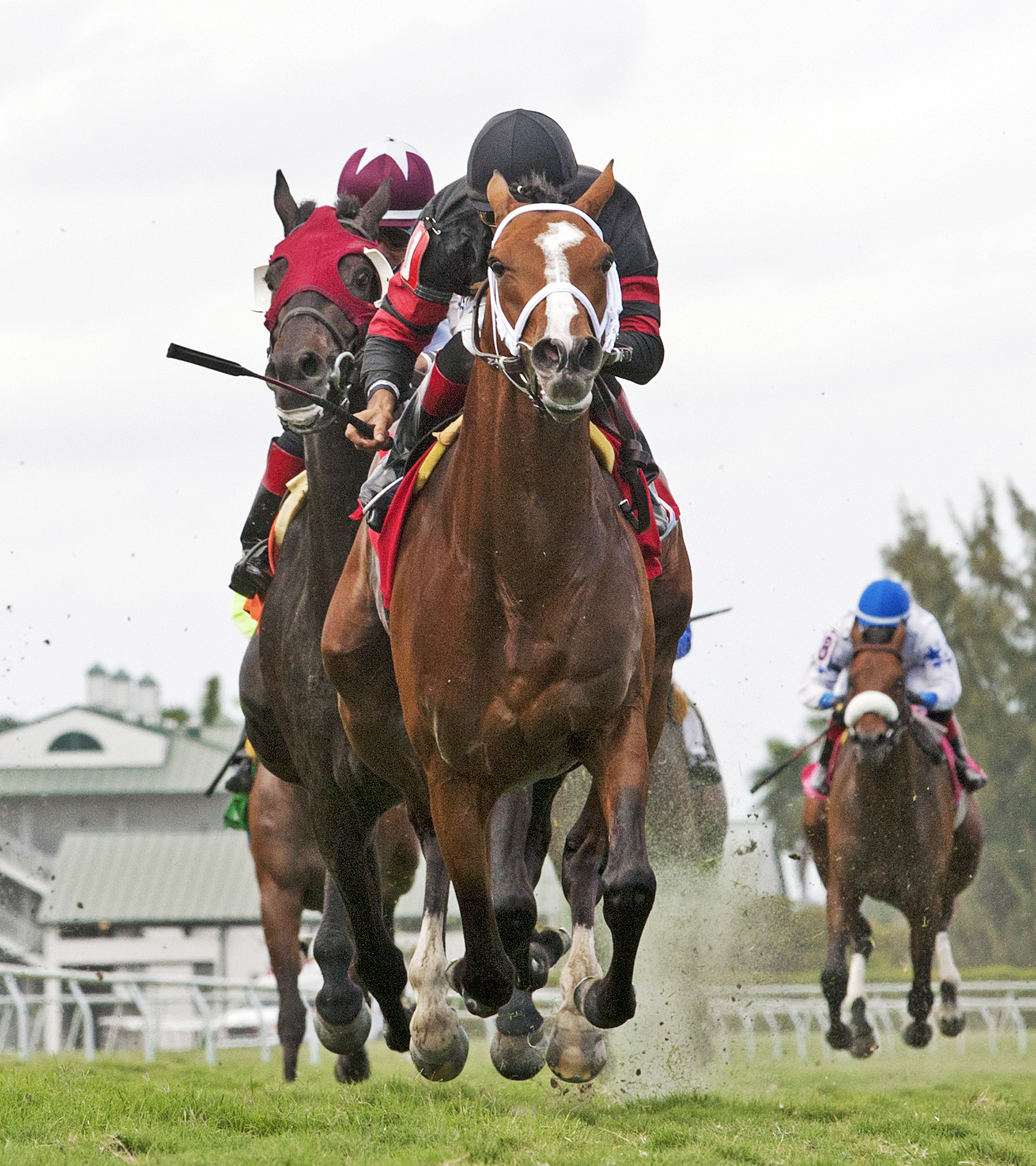 Unikat finishes third in a maiden race