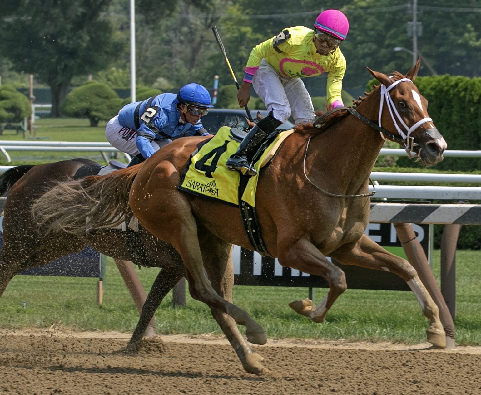 Bonita Bianca wins 2018 Union Avenue