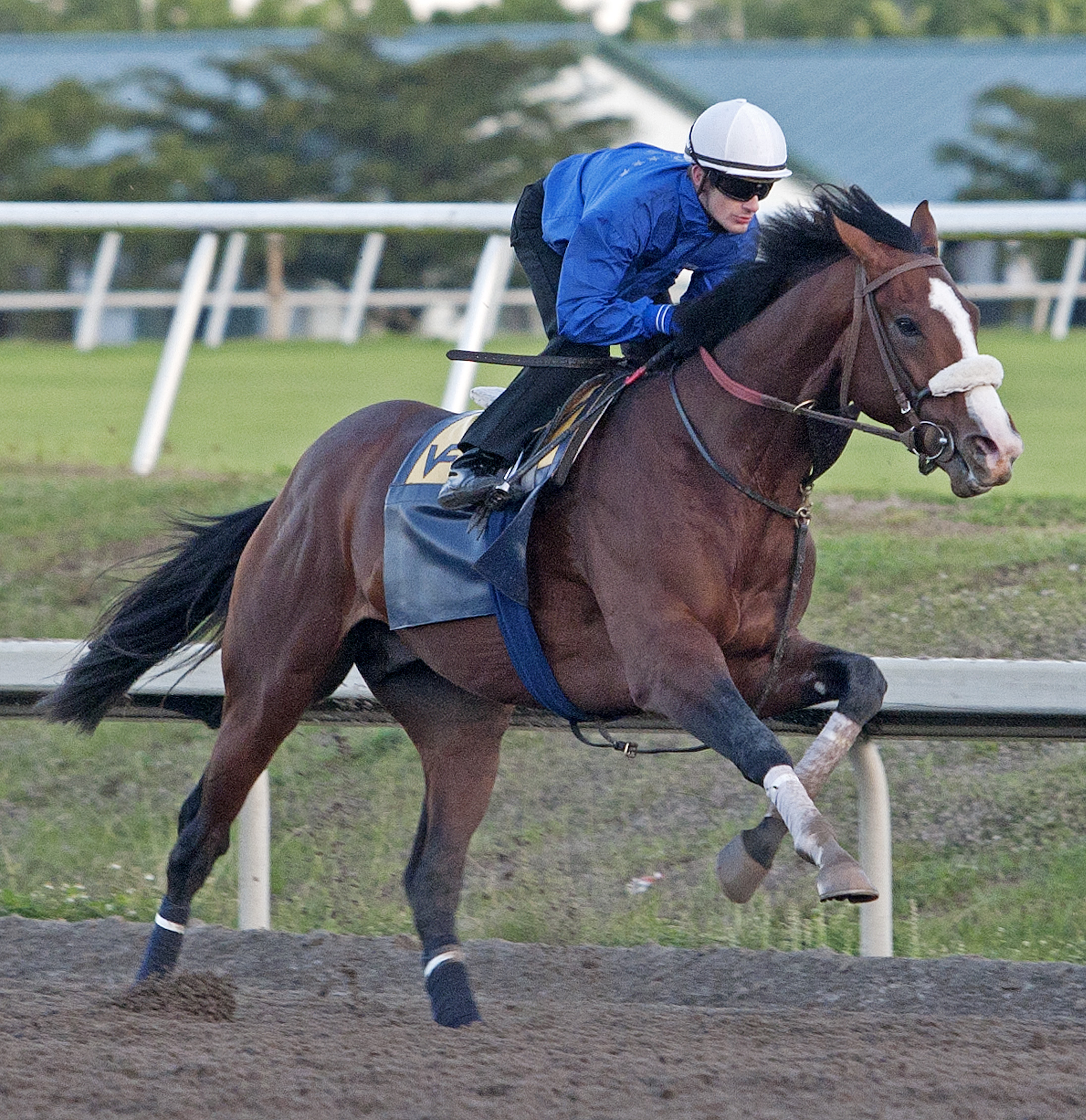 Gulfstream: Leparoux gets familiar with Union Rags prior to Fountain of Youth