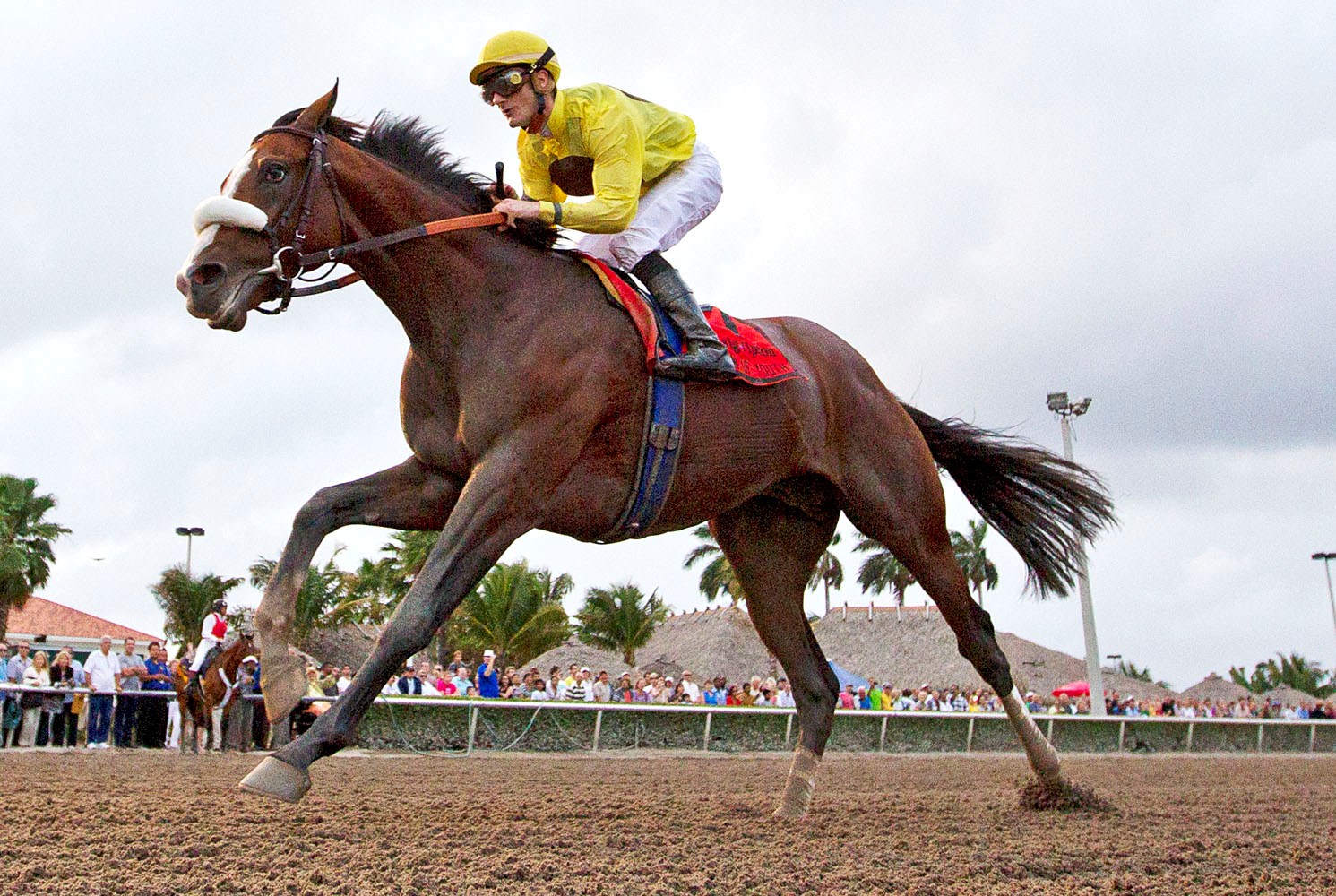 Union Rags, Fountain of Youth