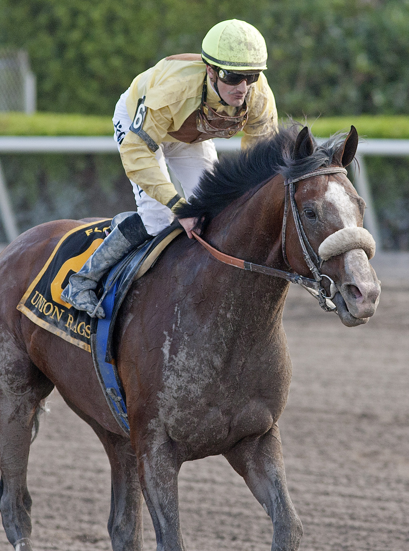 Union Rags in Florida Derby