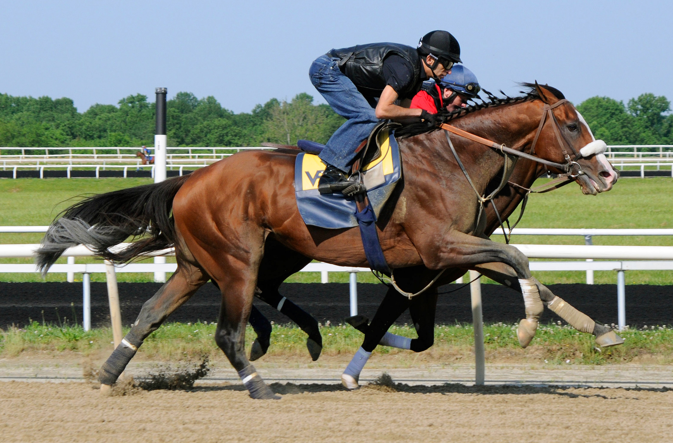 Belmont Stakes 2012: Velazquez liking his chances with Union Rags