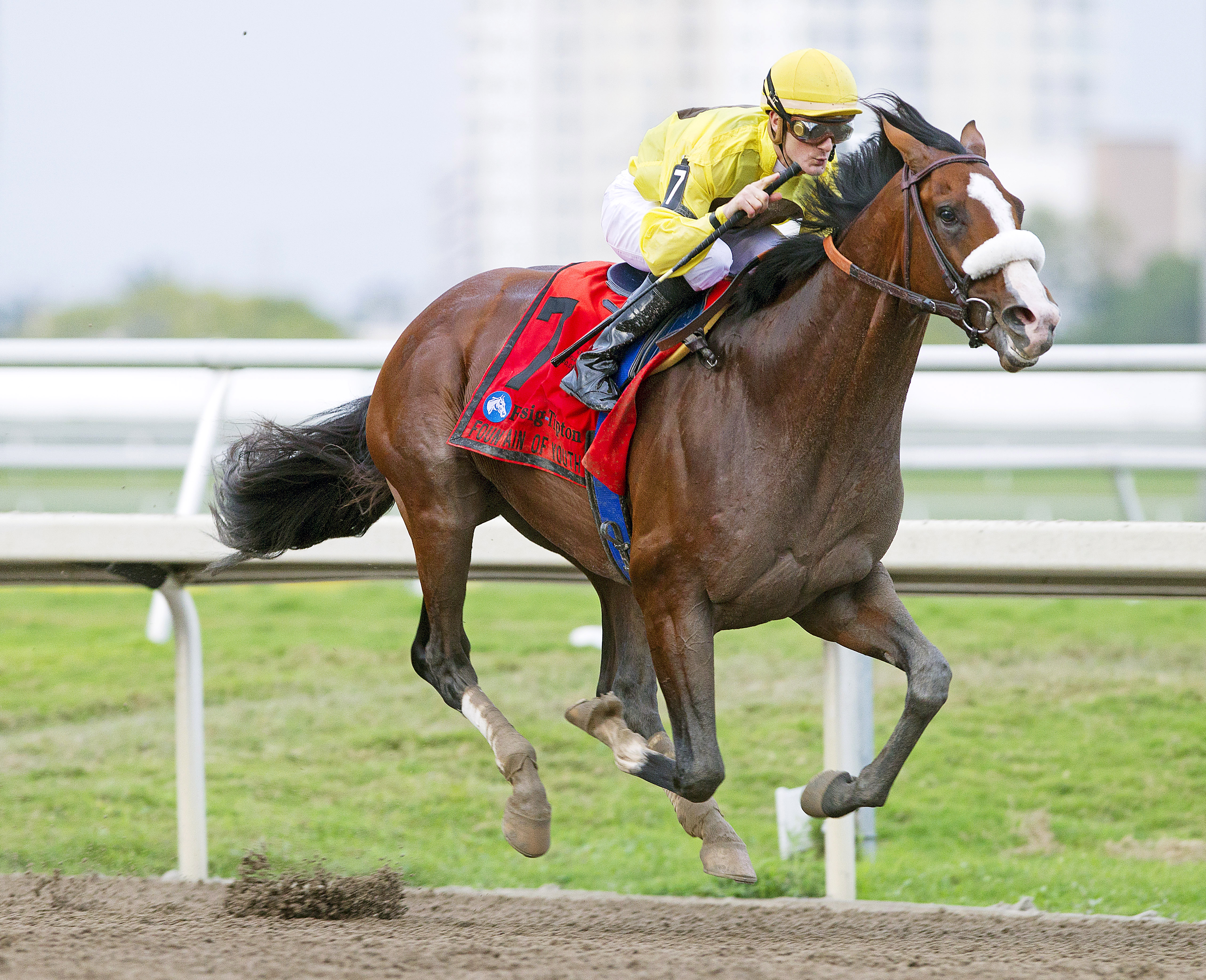 Union Rags