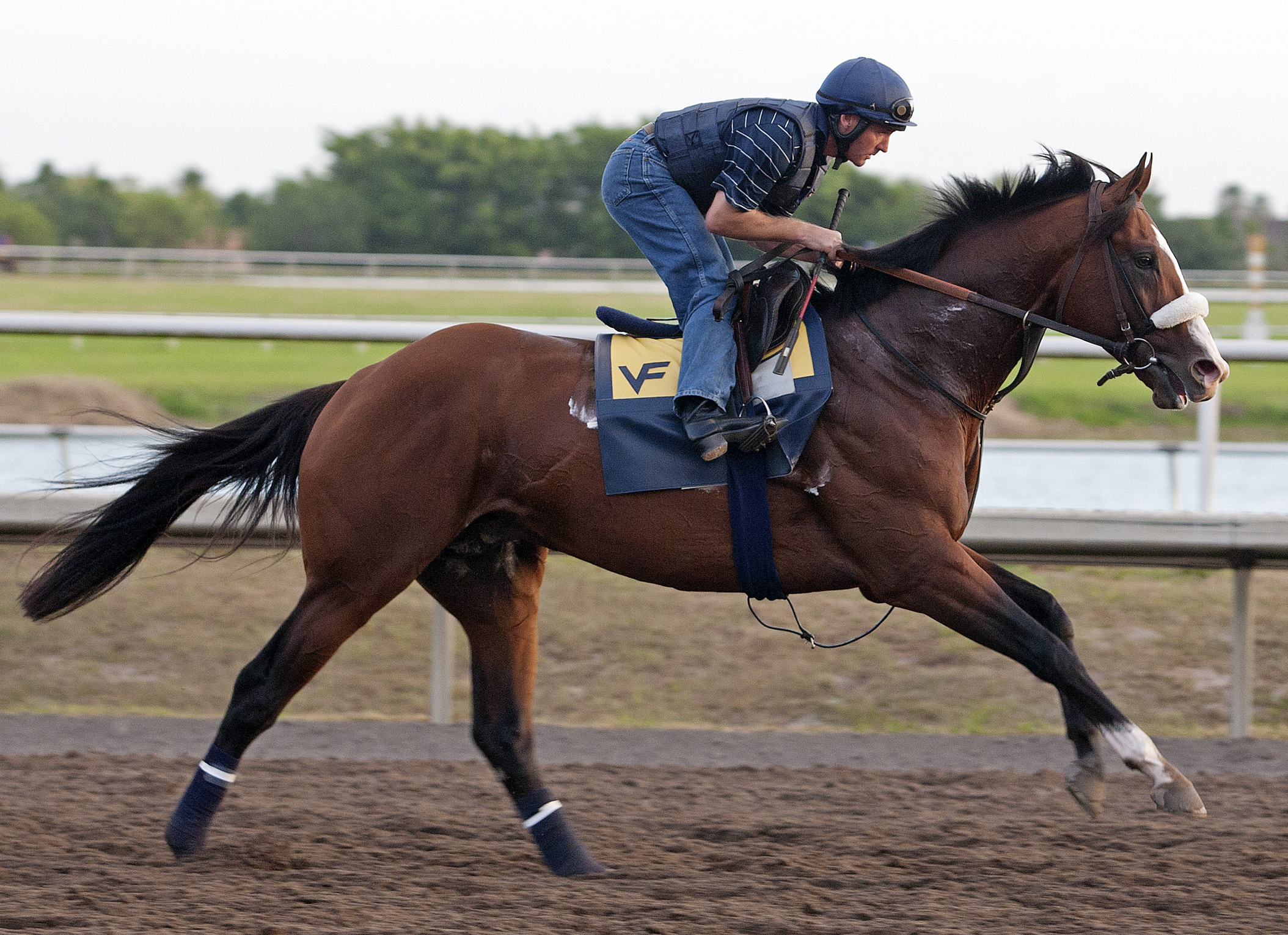 Kentucky Derby Future Wager: Union Rags starts final day as favorite in Pool 3
