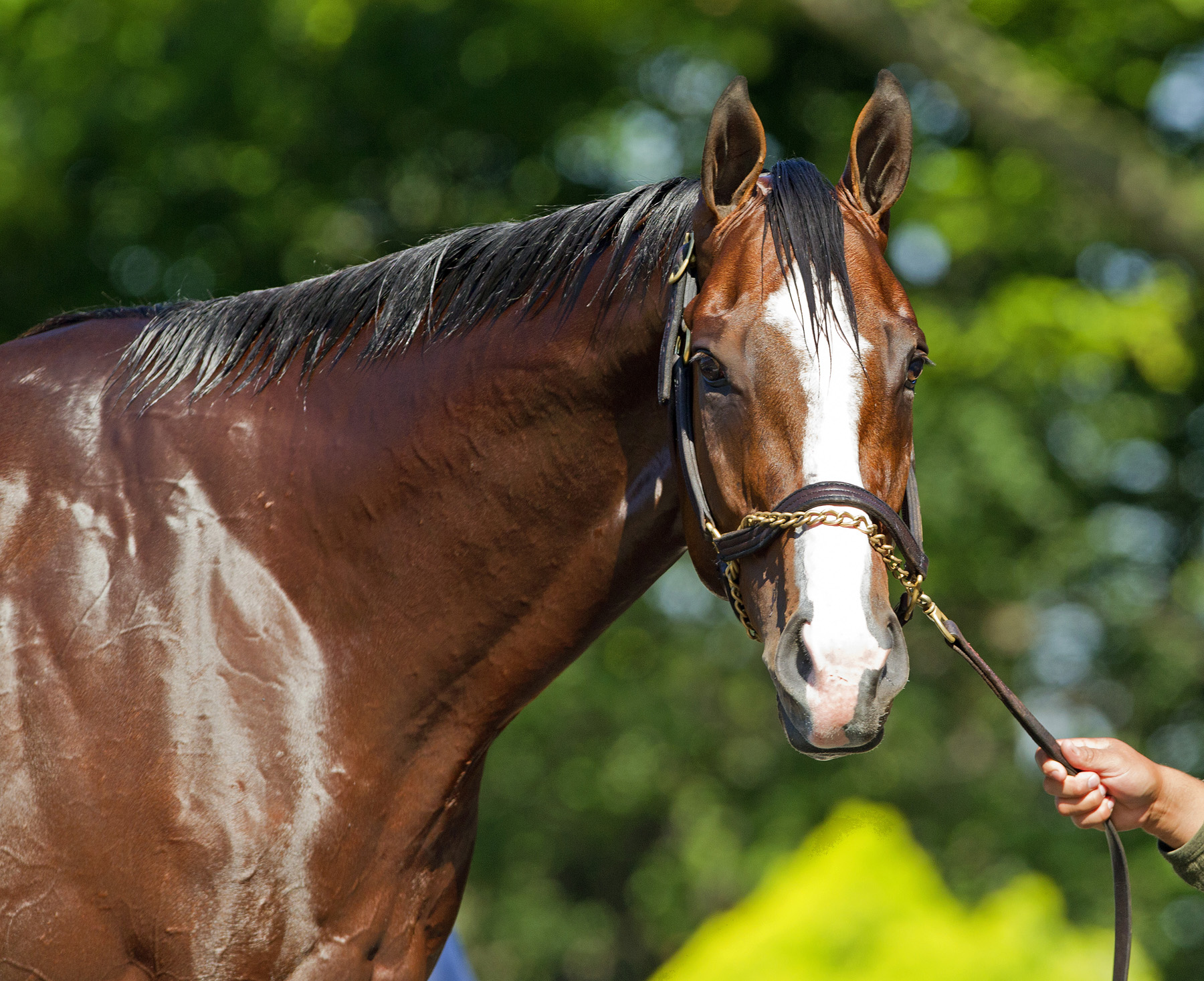 Union Rags
