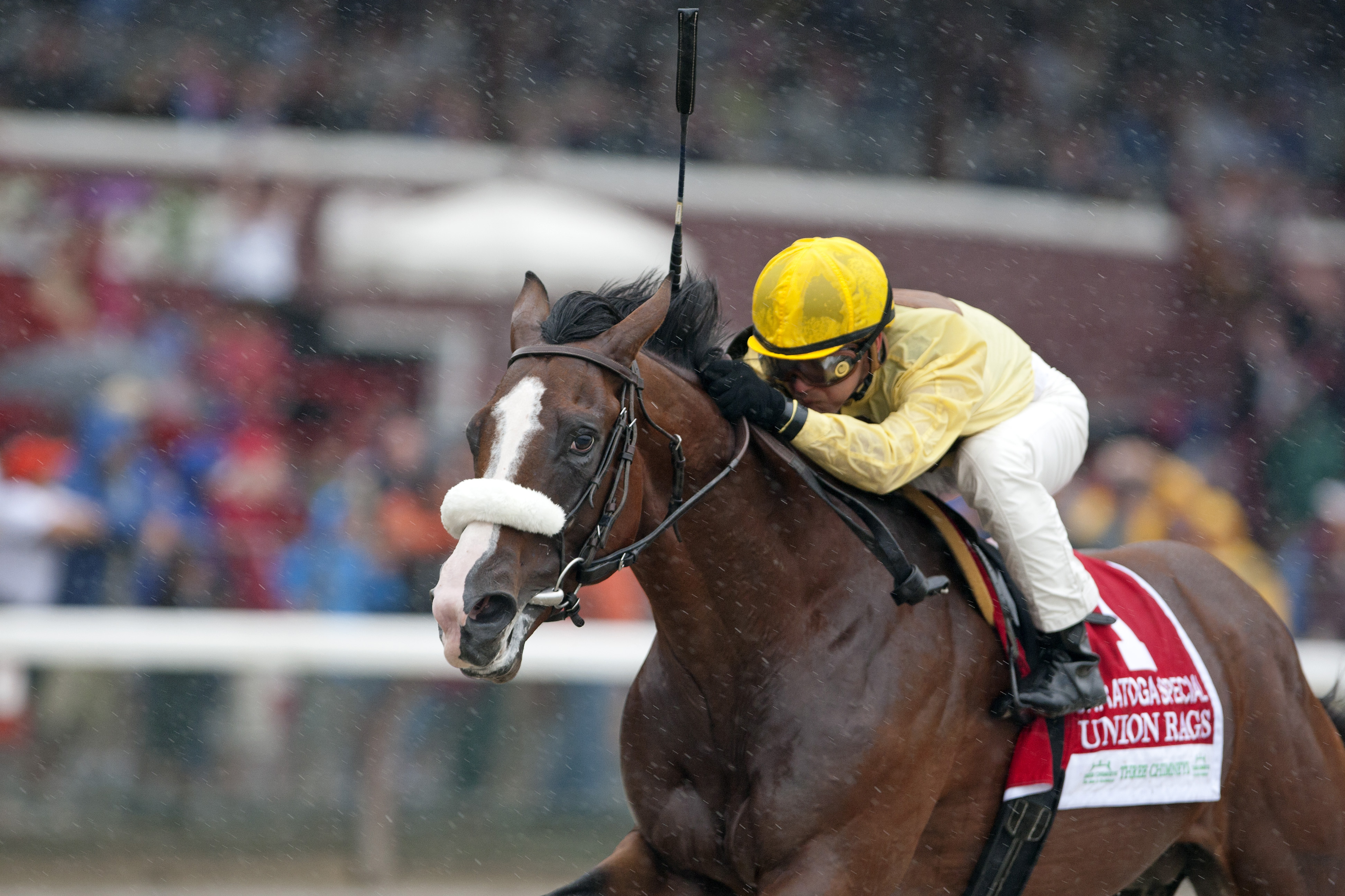 Union Rags/Saratoga Special