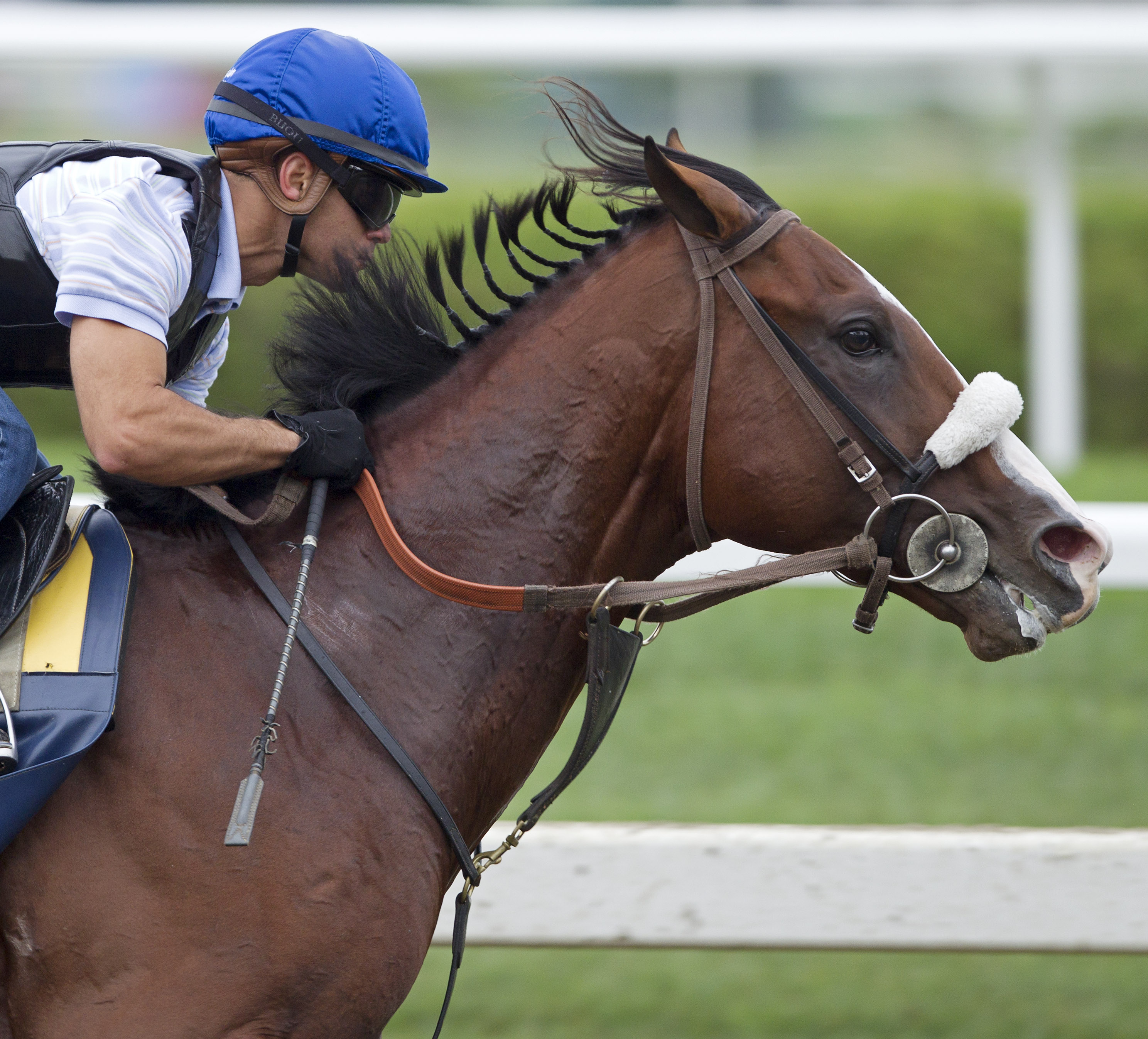 Union Rags