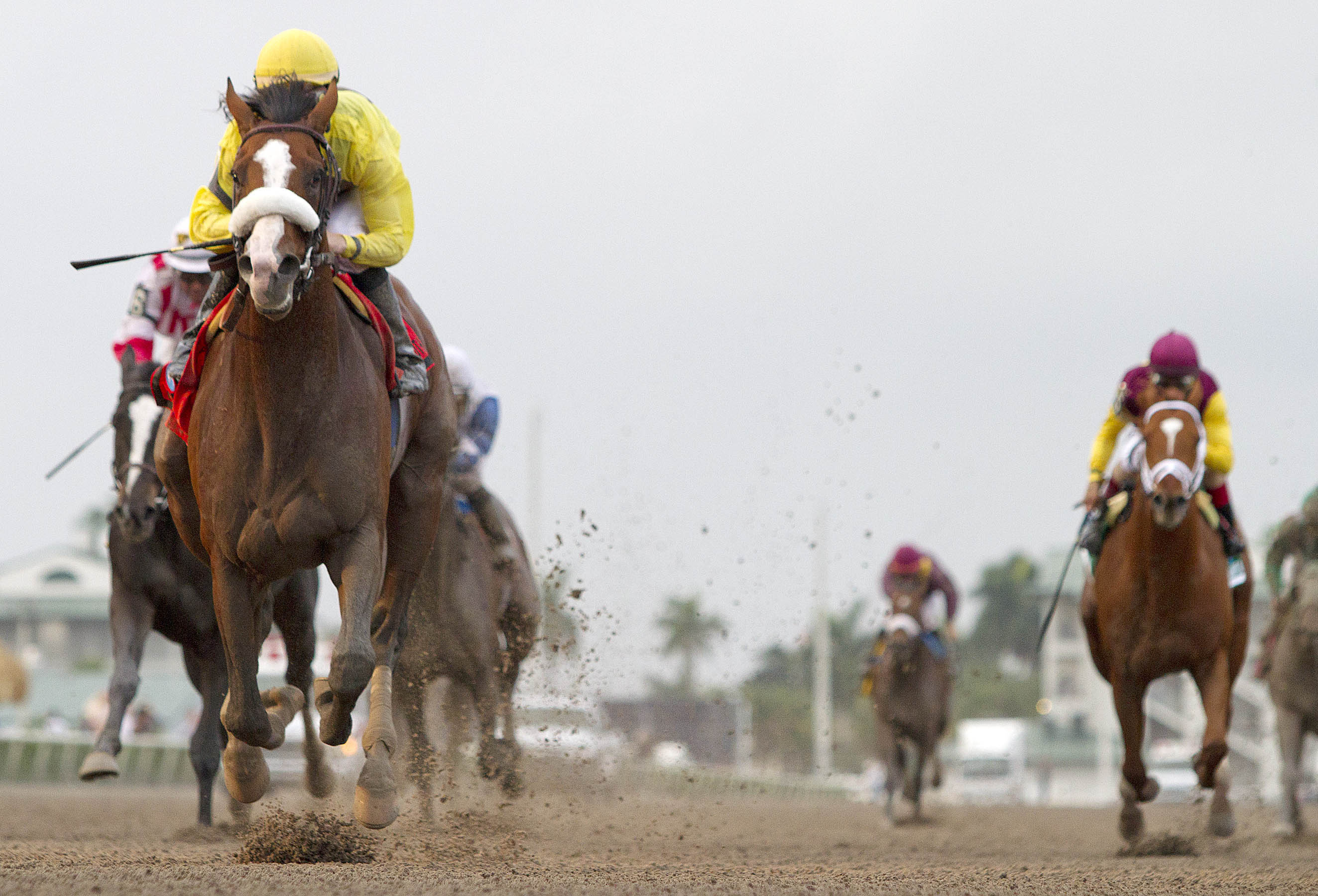 Union Rags/Fountain of Youth