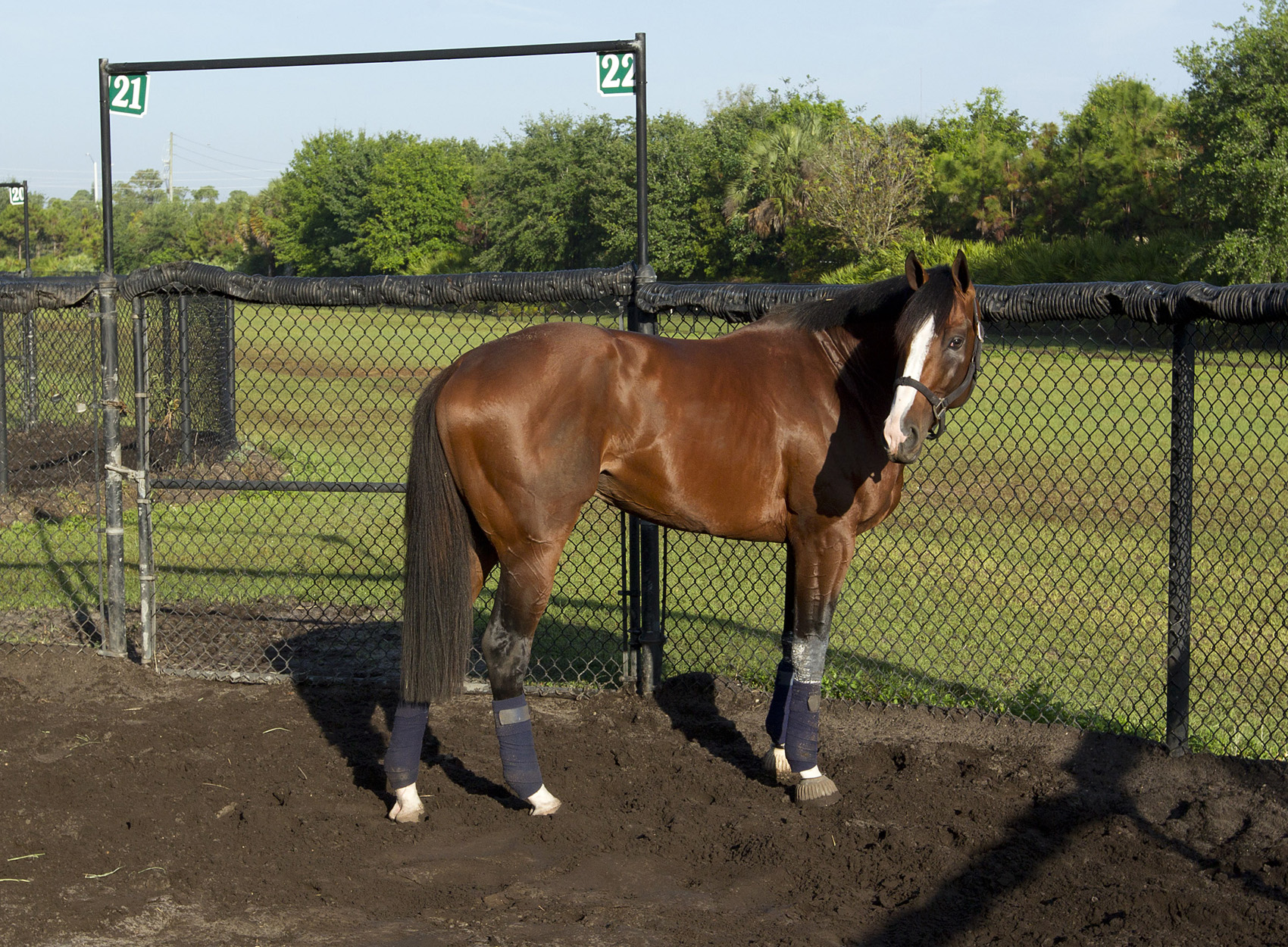 Kentucky Derby Future Wager: Union Rags closes as 9-2 favorite in Pool 3