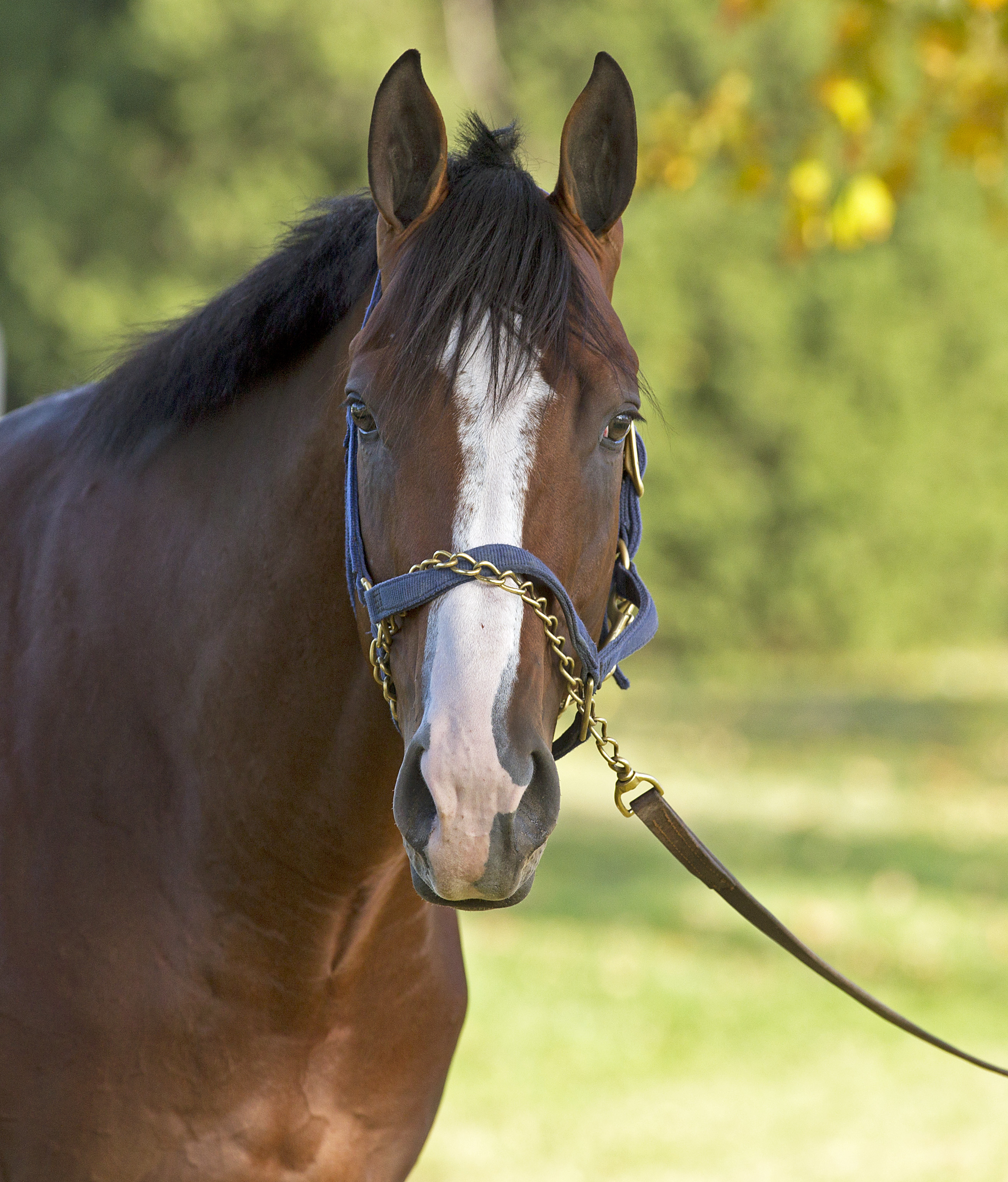 Union Rags
