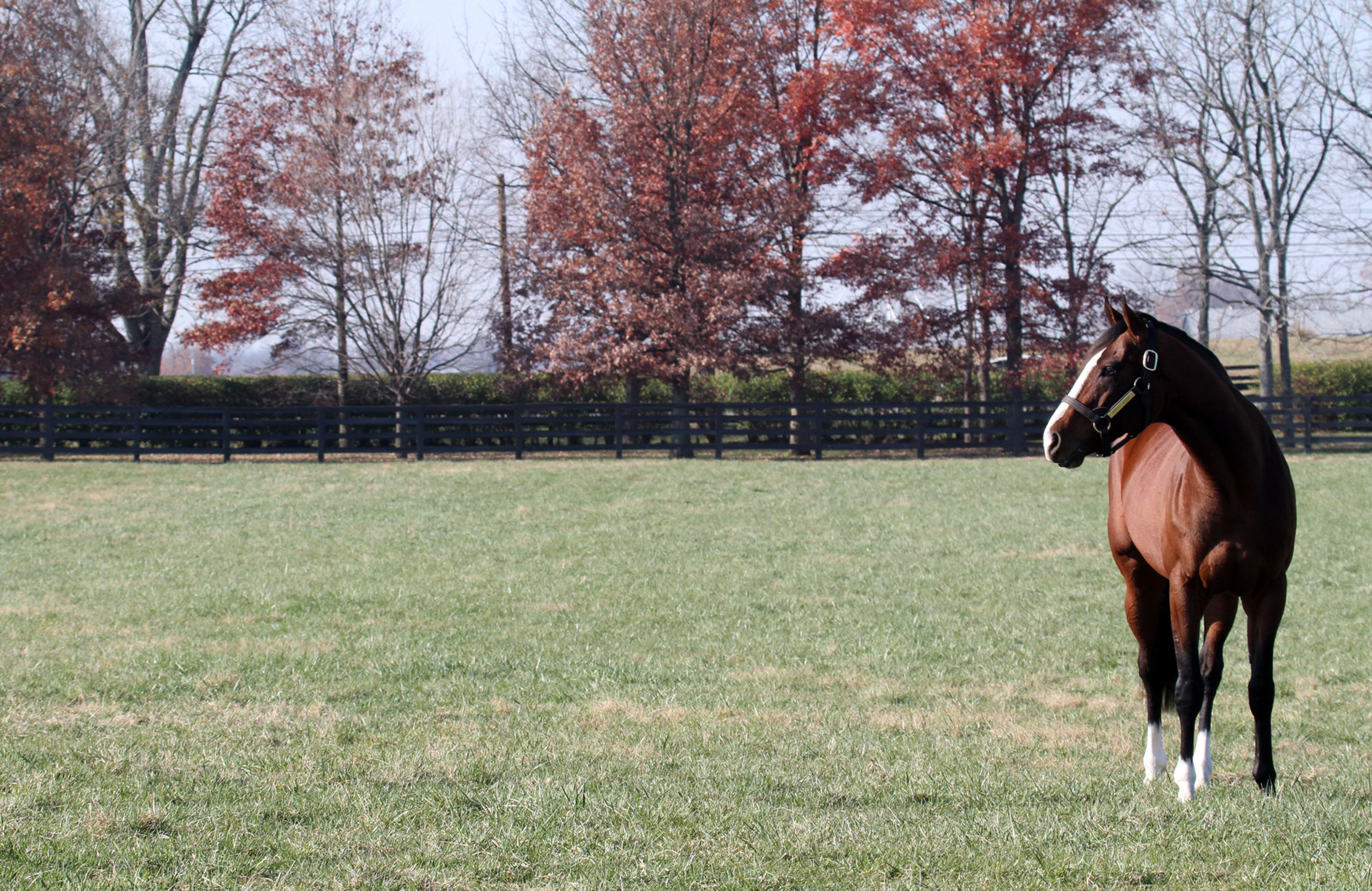Union Rags