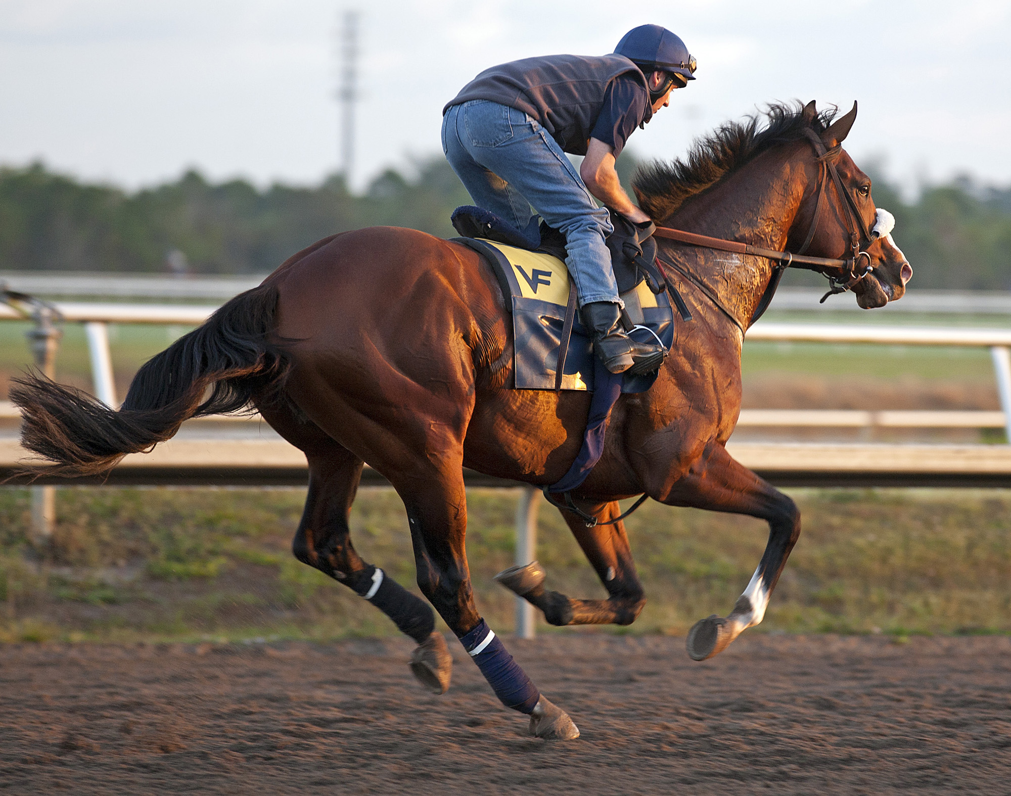 Kentucky Derby Future Wager handles $104K on first day; field is 3-5 favorite