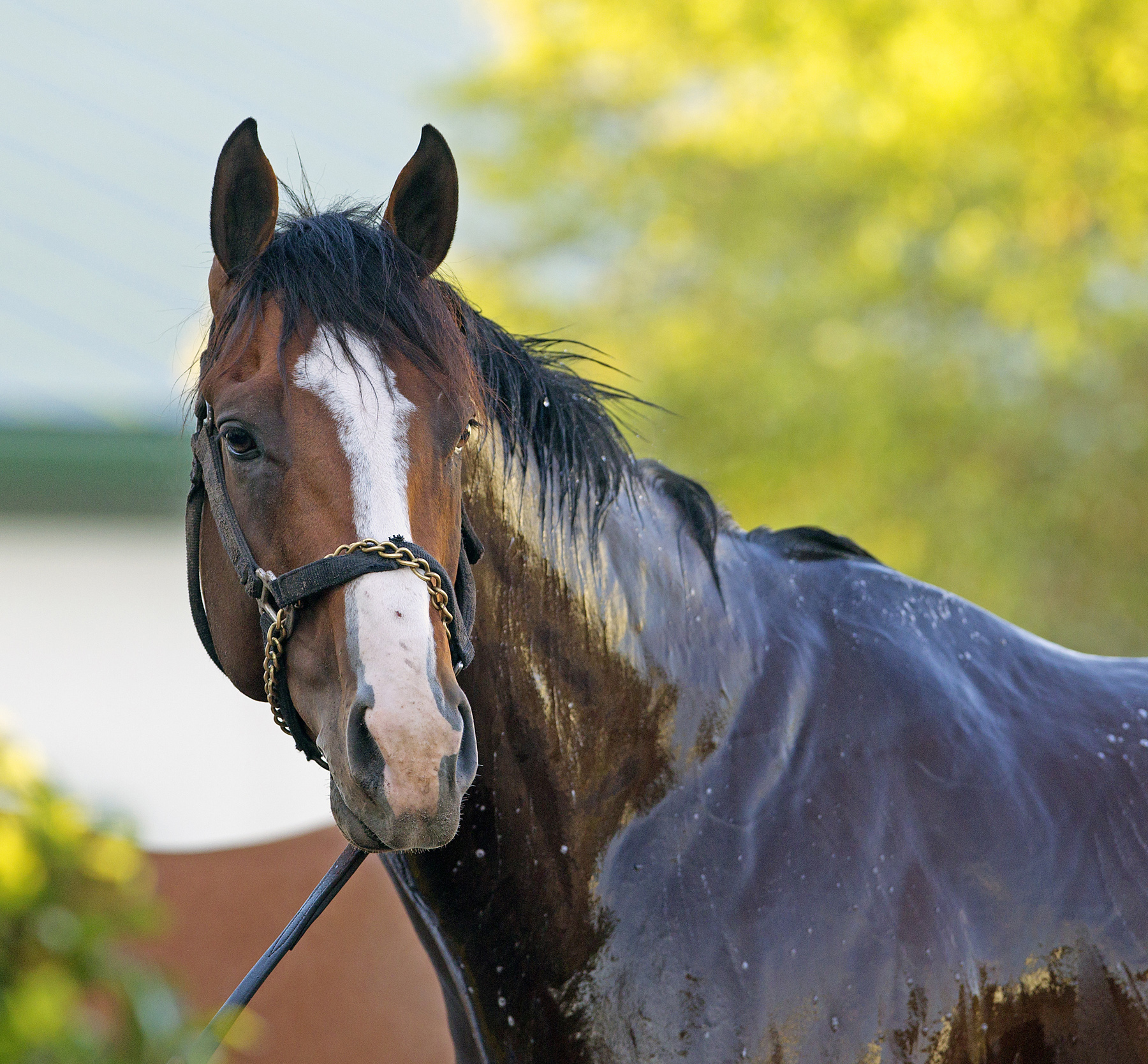 Union Rags portrait - 3/29/12