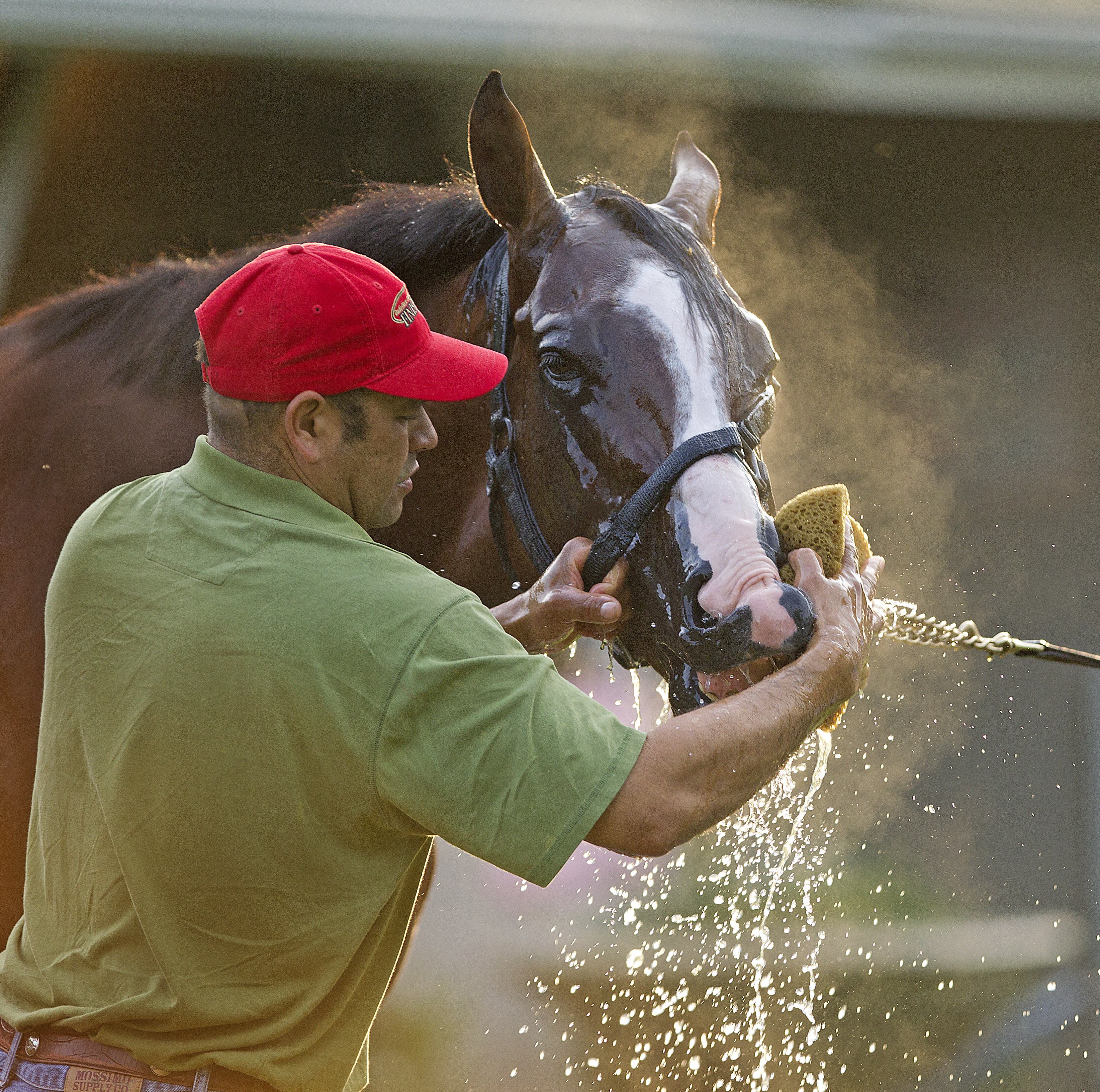 Union Rags bath