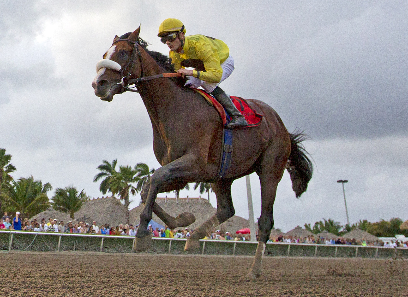 Union Rags 2-26-2012