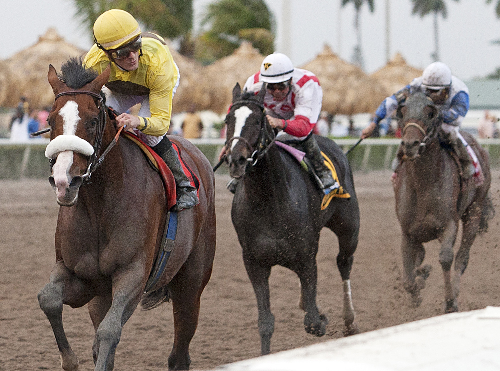 Churchill Downs: Six new horses added to Pool 2 of the Kentucky Derby Future Wager