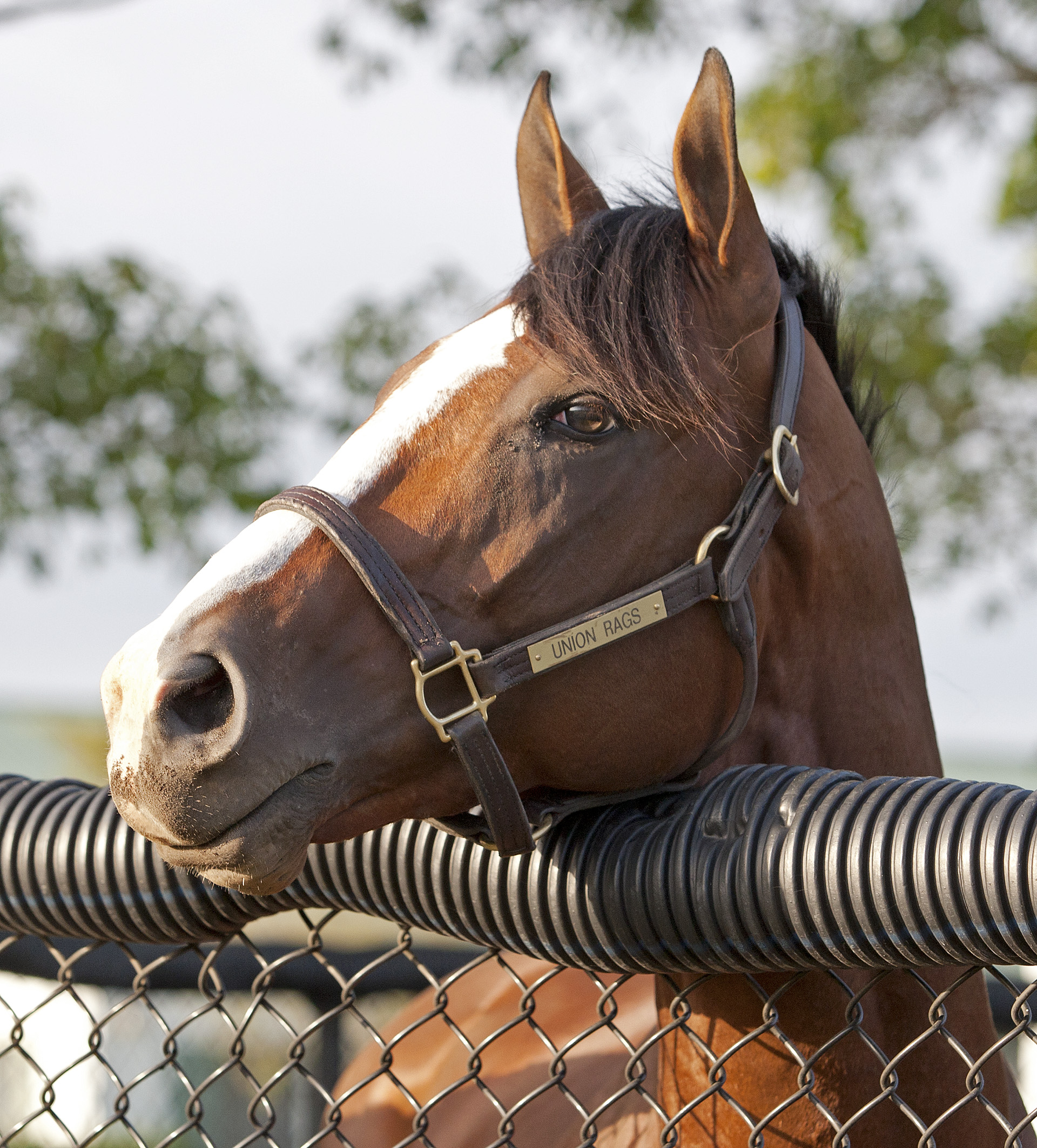 Union Rags