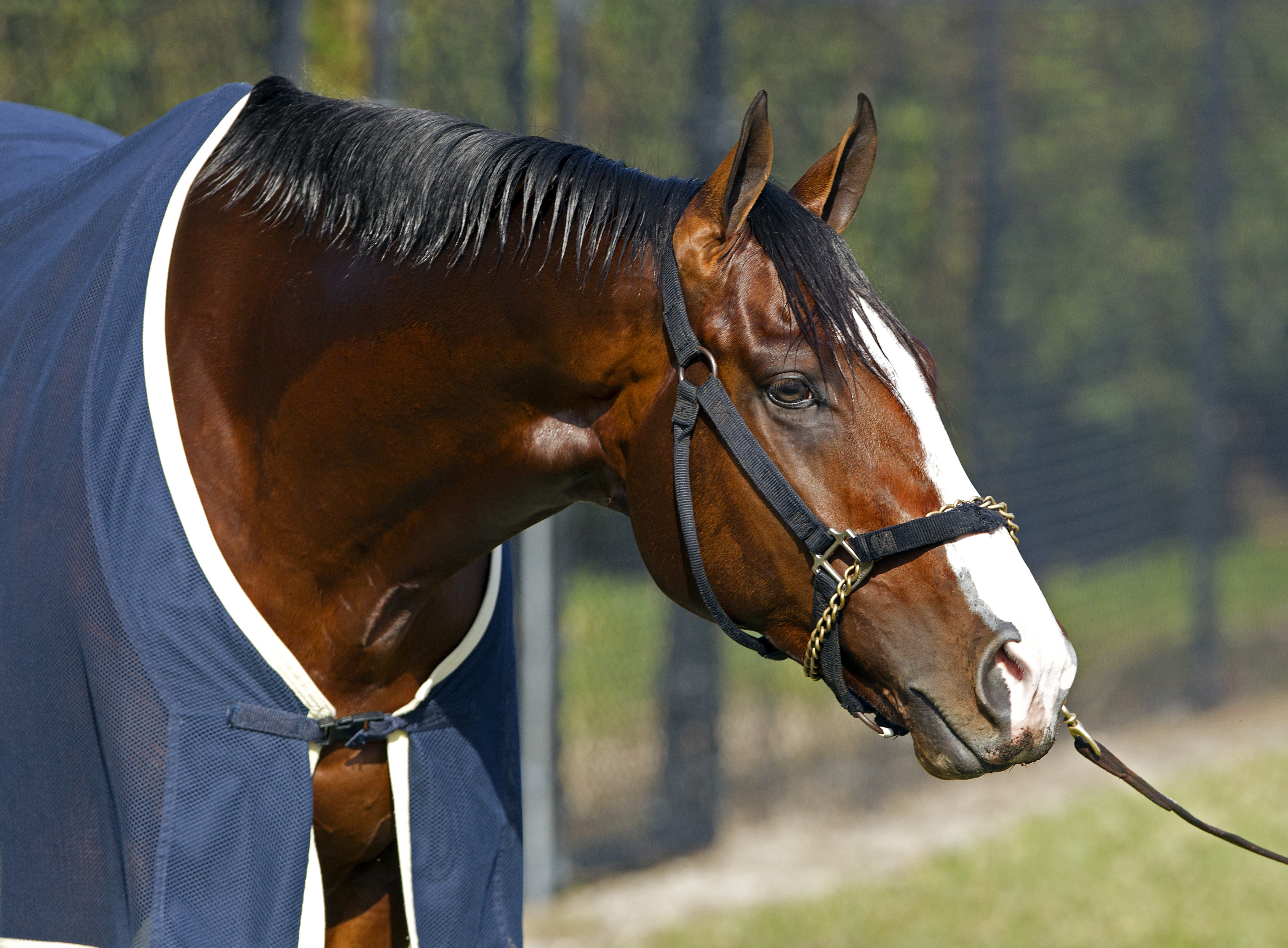 Union Rags