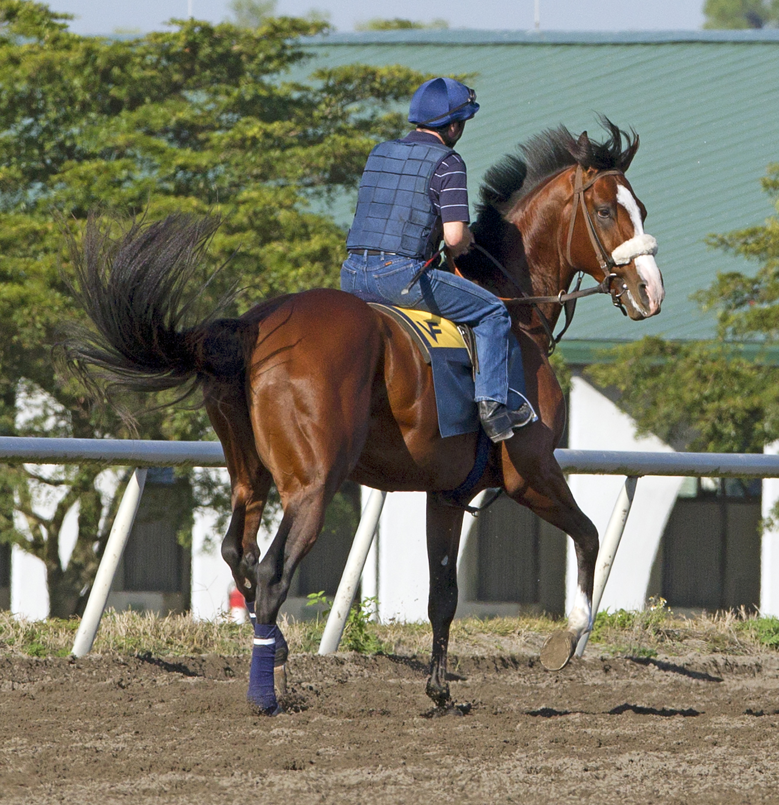 Union Rags