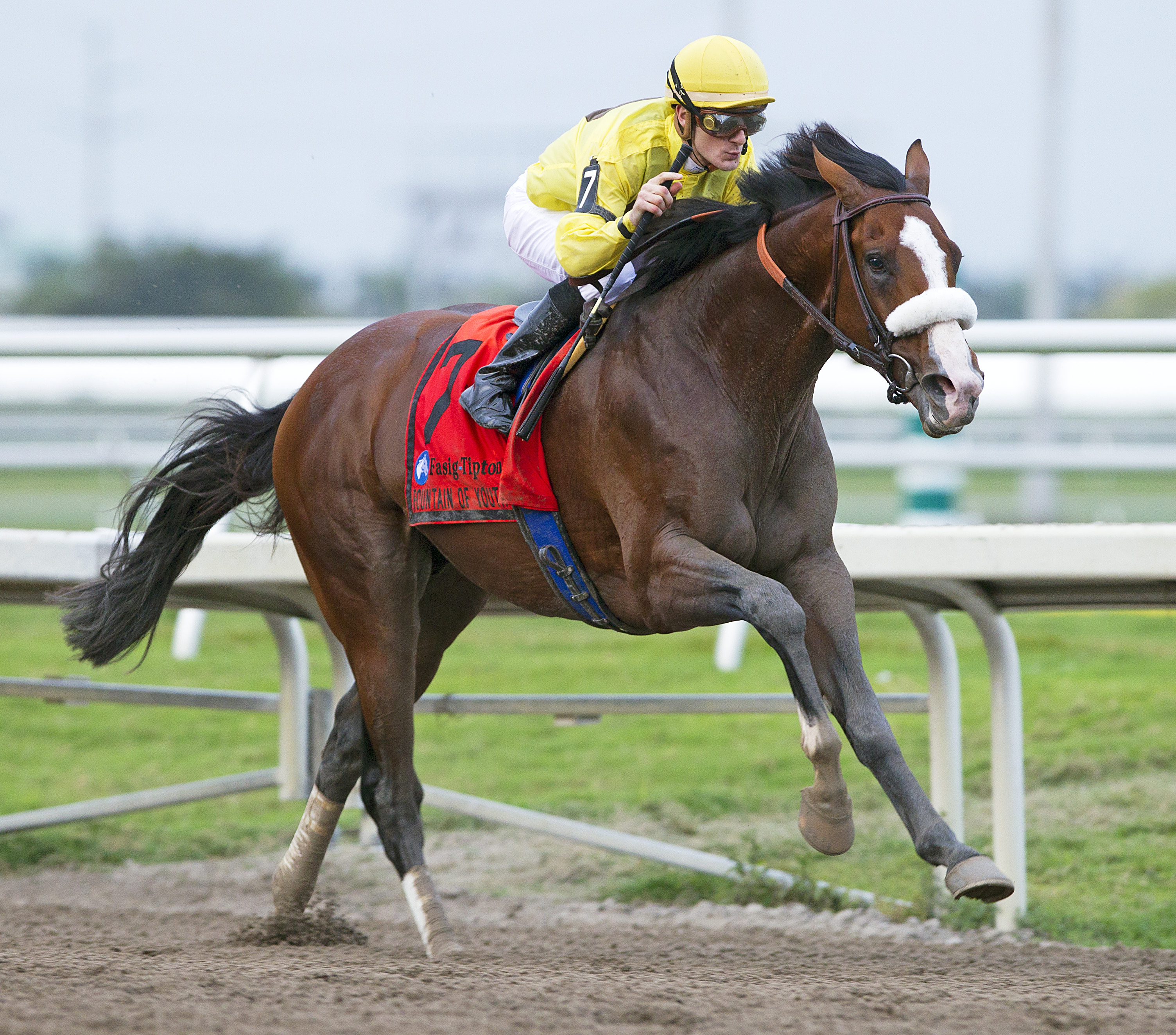 Union Rags, Fountain of Youth